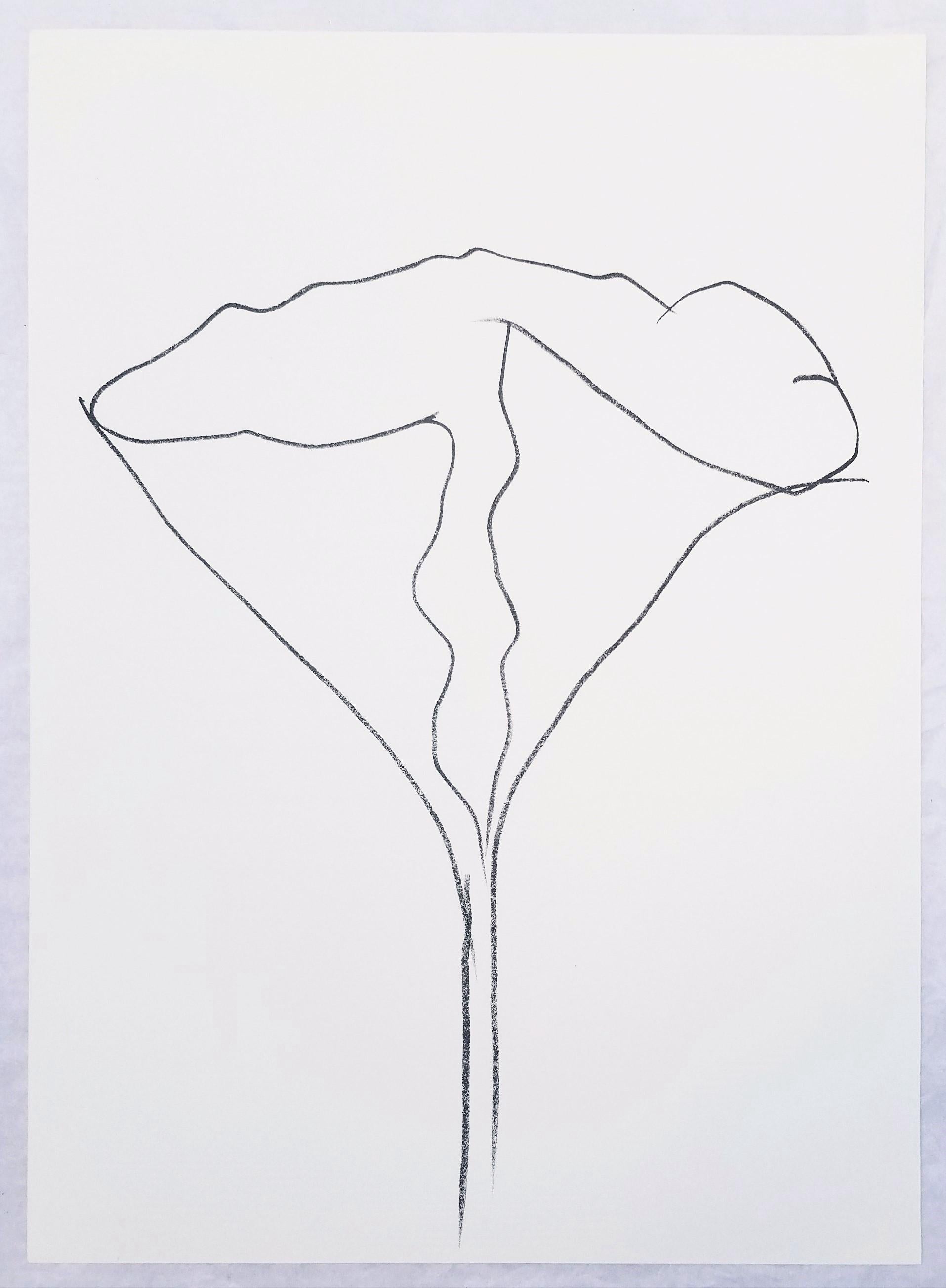 Lotus /// Botanical Botany Flower Minimalismus Ellsworth Kelly Modern Contemporary im Angebot 1
