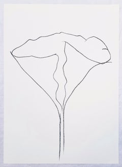 Lotus /// Ellsworth Kelly Minimalism Botanical Flower Contemporary Lithograph