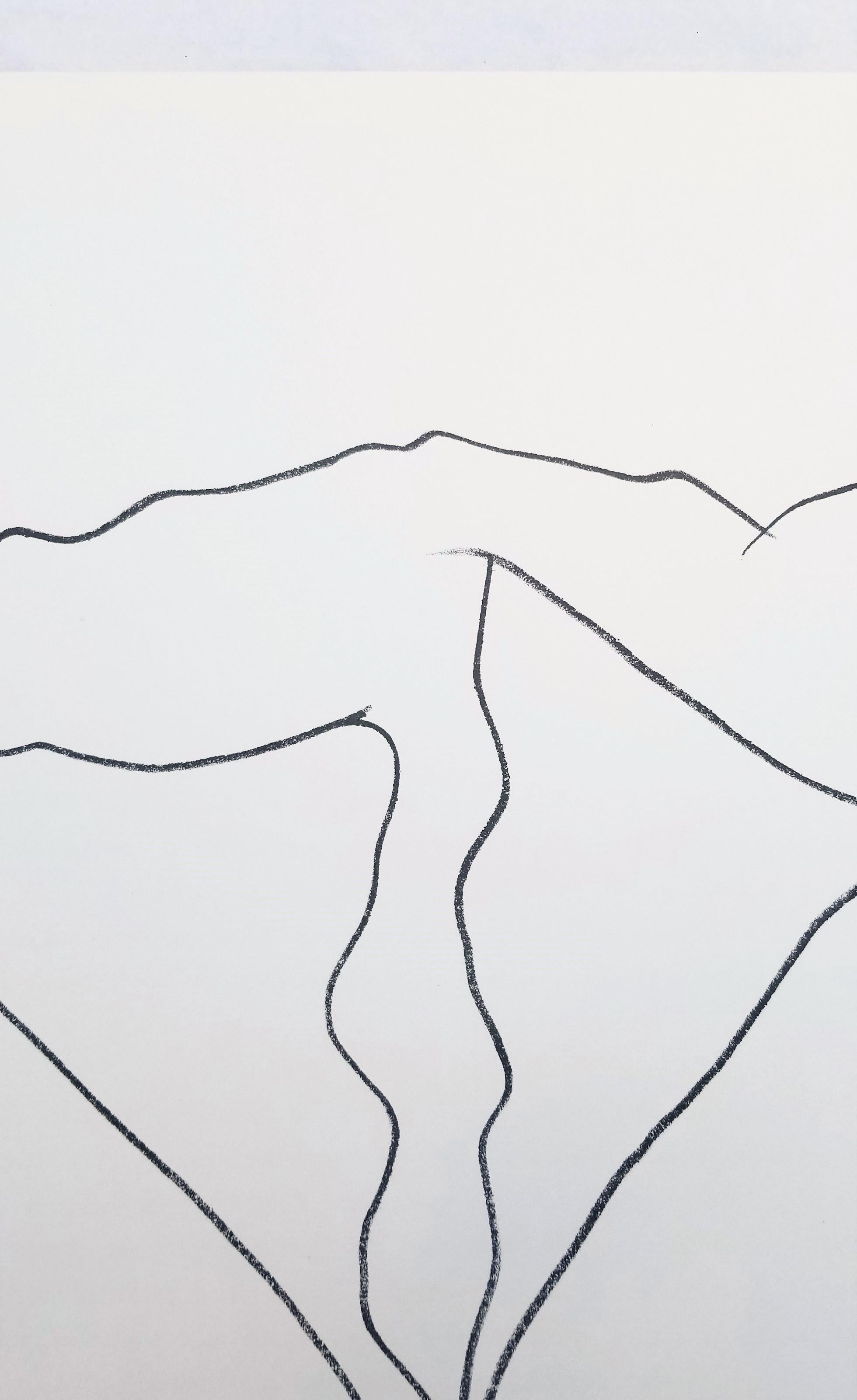 Lotus /// Ellsworth Kelly Minimalismo Botanico Fiore Litografia contemporanea in vendita 6