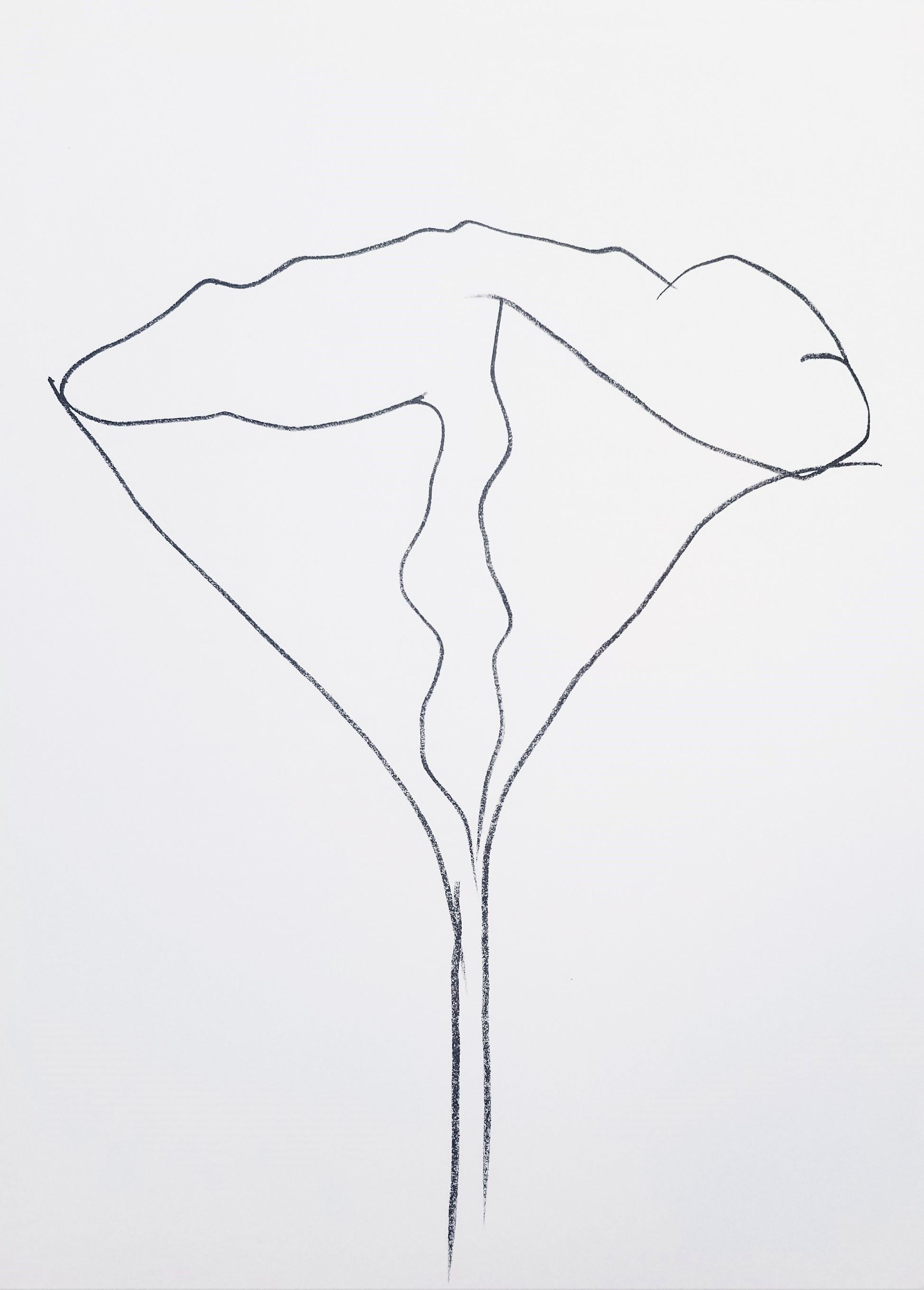 Lotus /// Botanical Botany Flower Minimalism Ellsworth Kelly Modern Contemporary