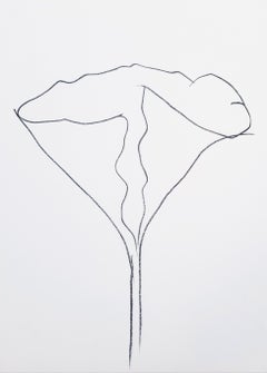 Lotus /// Botanical Botany Flower Minimalism Ellsworth Kelly Modern Contemporary
