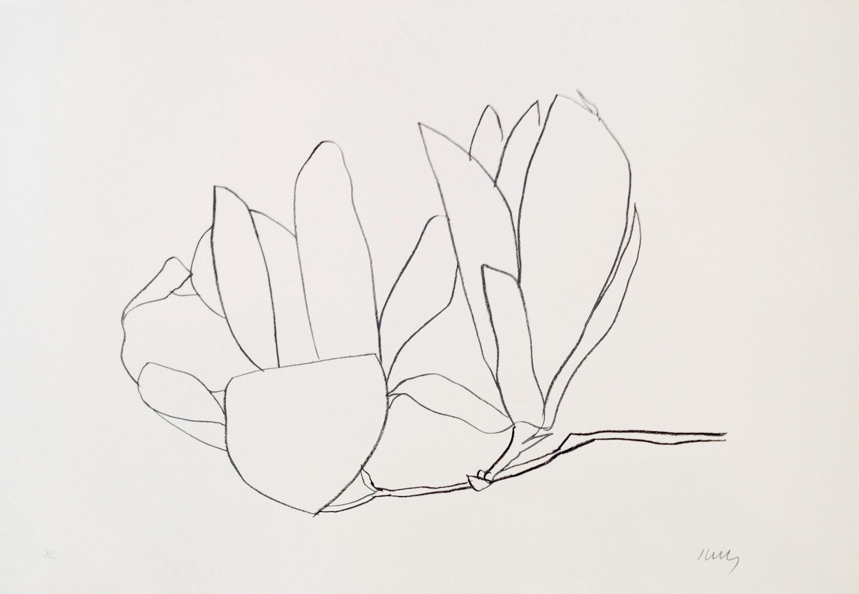 From 'Suite of Plant Lithographs'. 
Signed in pencil, inscribed HC (an hors commerce impression aside from the edition of 75). 
Printed on Arches paper by Imprimerie Arte, Paris. 
Published by Maeght, Paris. 
(Axsom 56). 