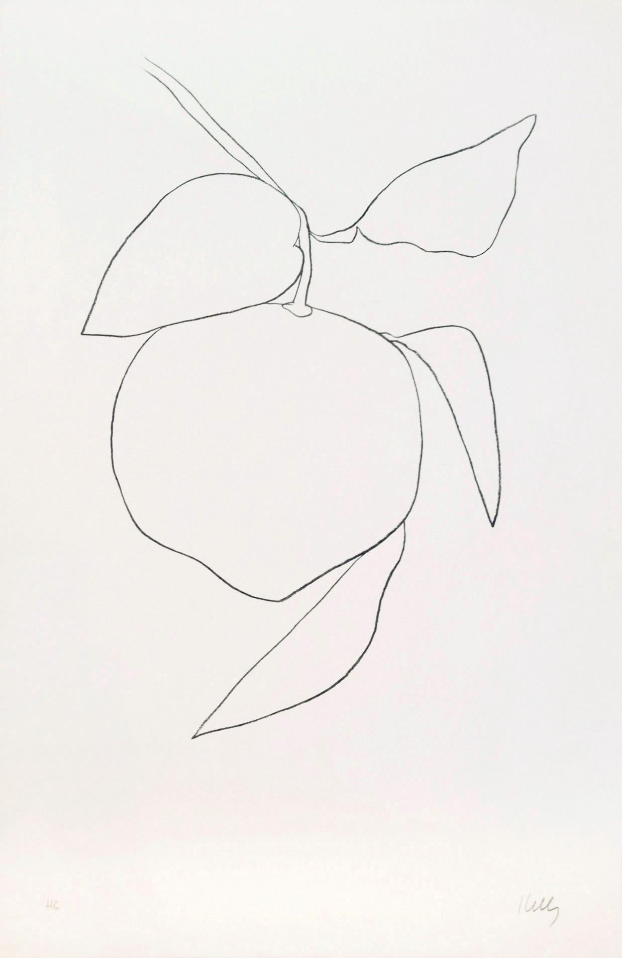 From 'Suite of Plant Lithographs'. Signed in pencil, inscribed HC (an hors commerce impression aside from the edition of 75). 
Printed by Imprimerie Arte, Paris. 
Published by Maeght, Paris. 
(Axsom 33). 