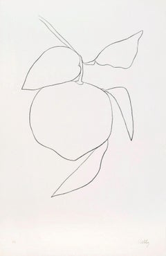 Pamplemousse (Grapefruit) -  Ellsworth Kelly, Minimalism, Flora, Still-life