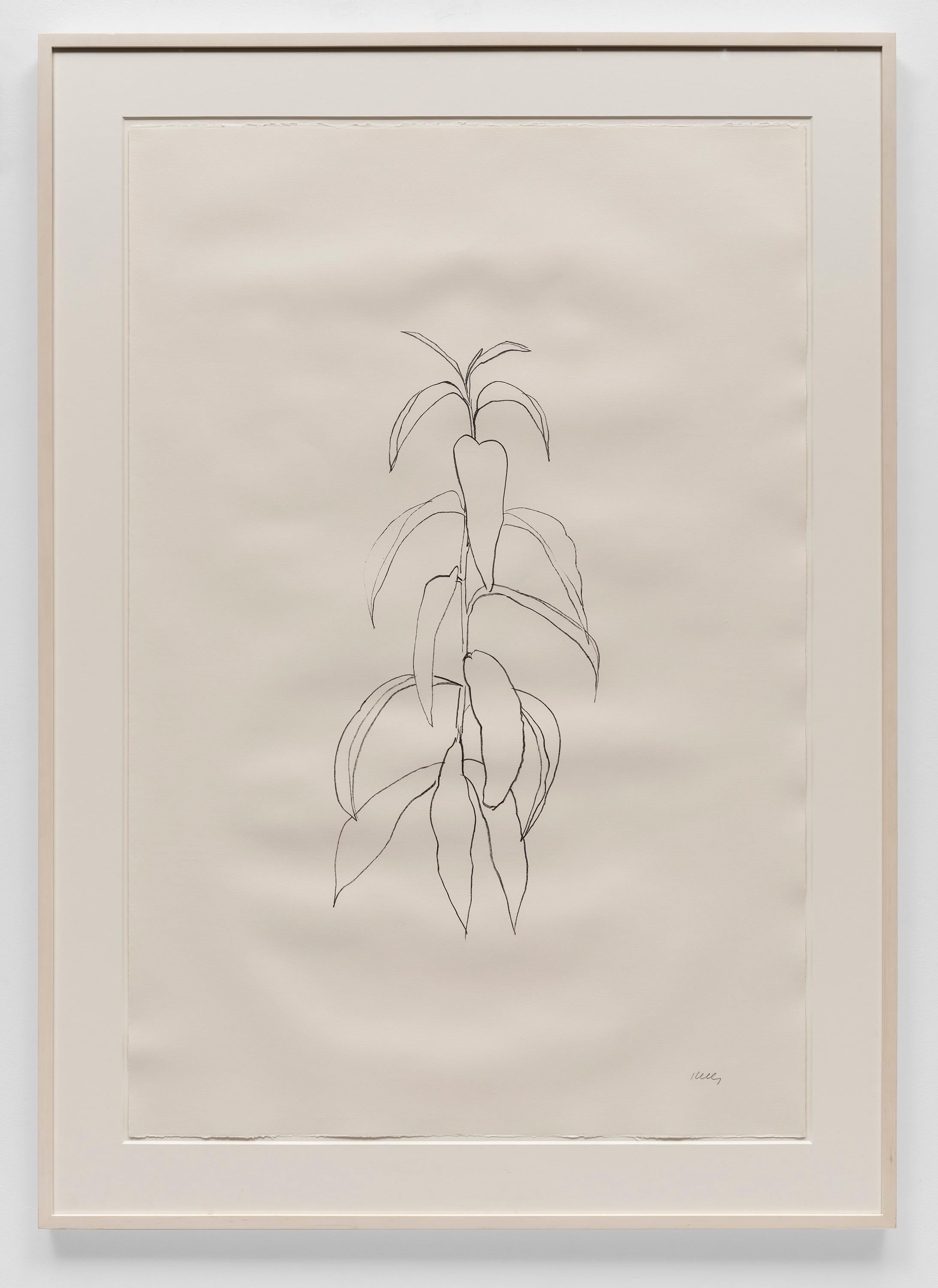 Rama de melocotón - Print de Ellsworth Kelly