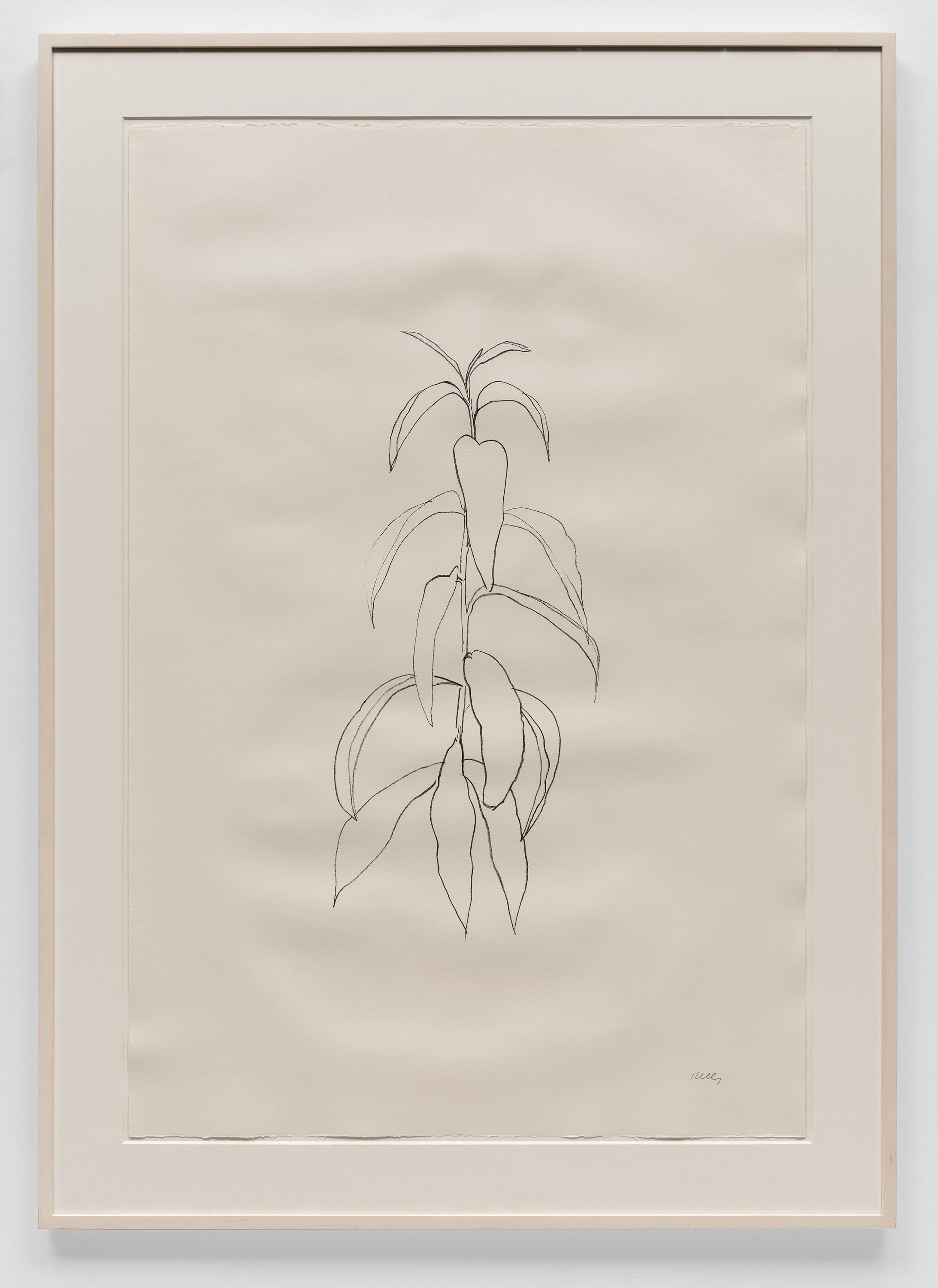 Peach Branch - Print by Ellsworth Kelly