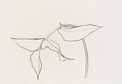 Philodendron I