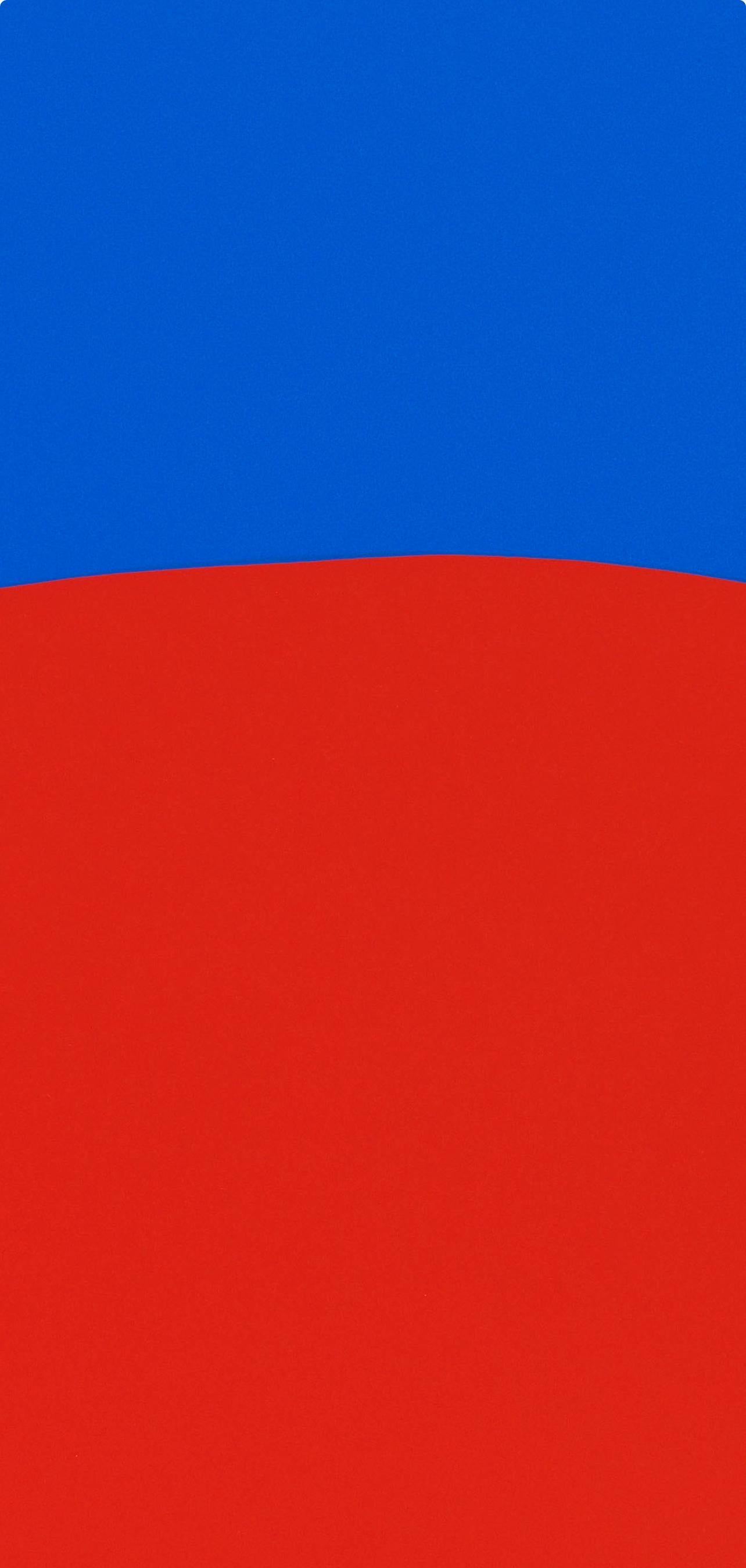 Red Blue (Axsom 2), X + X, Dieci opere di dieci pittori, Ellsworth Kelly in vendita 2
