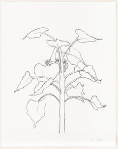 Sunflower I