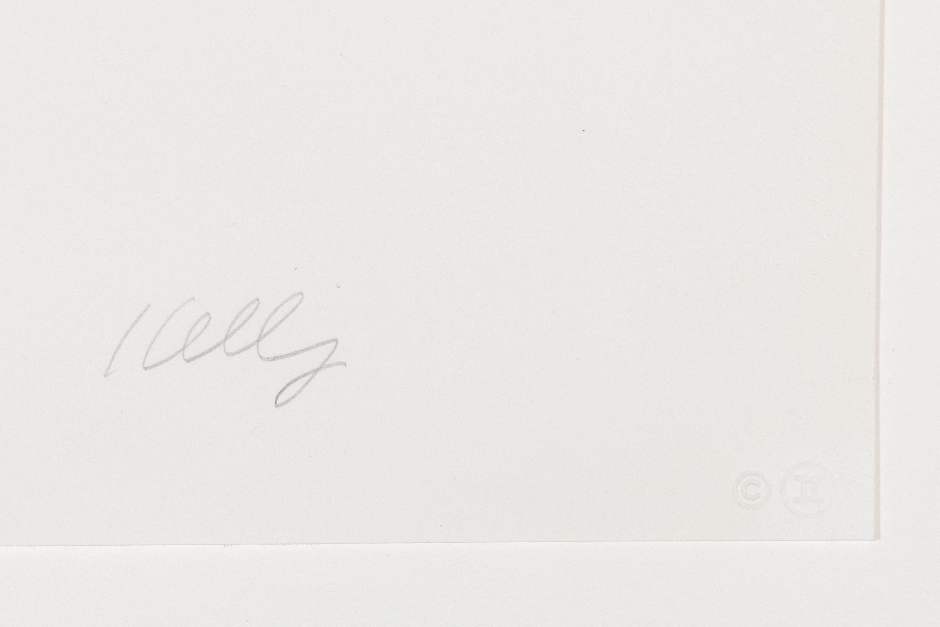 Untitled - Contemporary Abstract Lithograph, 1983 - Gray Abstract Print by Ellsworth Kelly