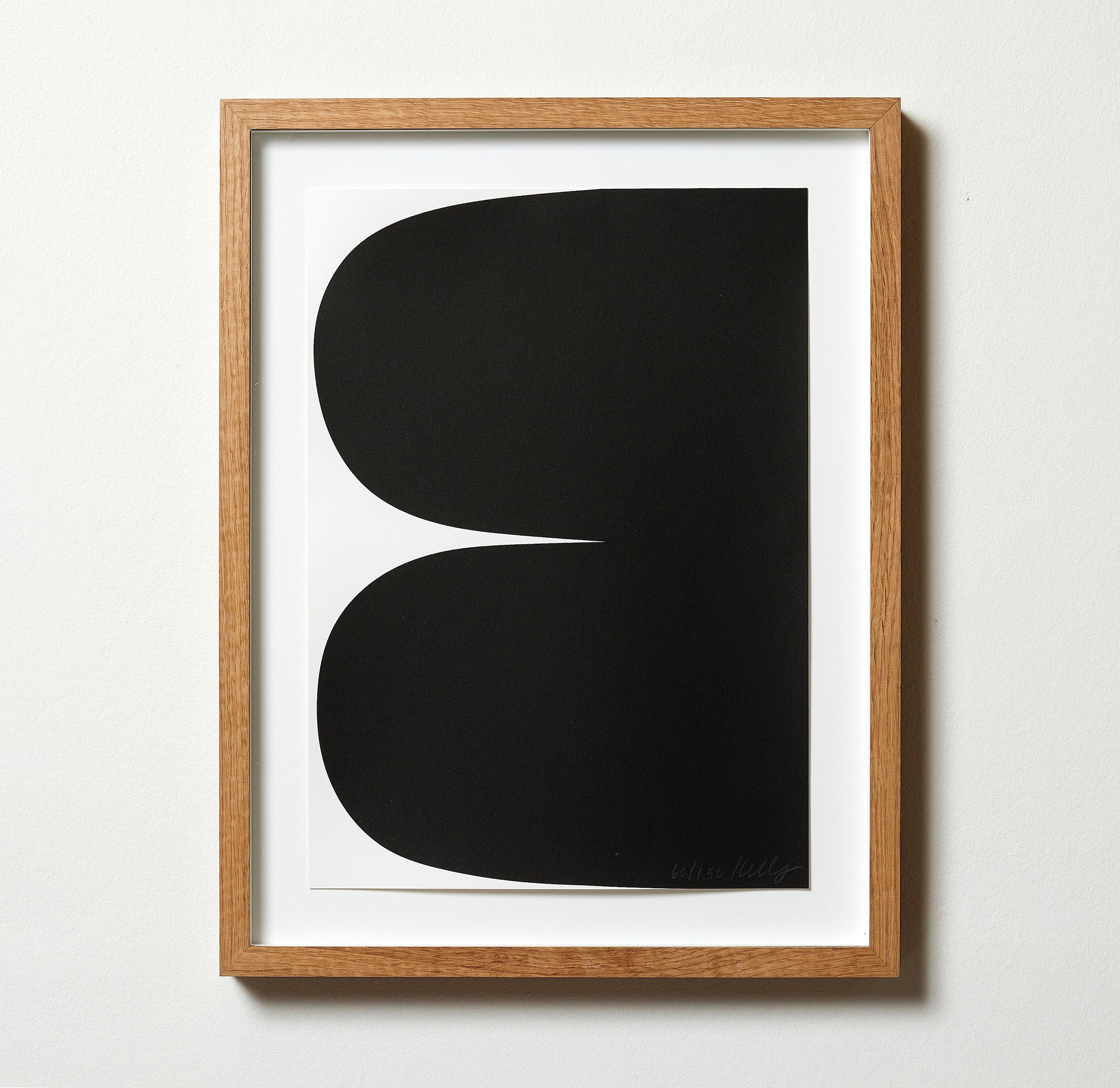 ellsworth kelly minimalism