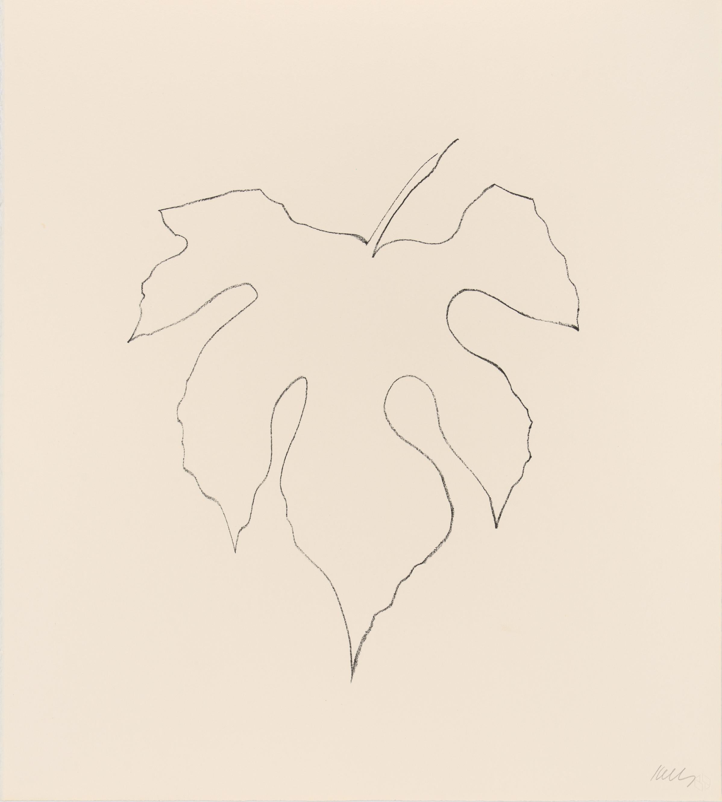 Ellsworth Kelly Still-Life Print - Wild Grape Leaf