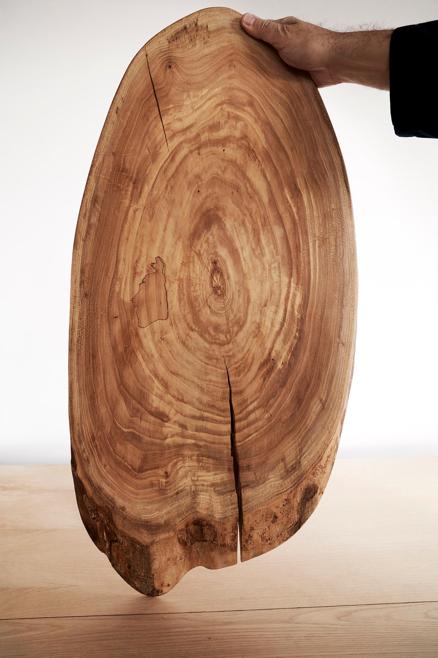 Mesa baja ovalada de olmo y piedra de Jean-Baptiste Van den Heede Español en venta