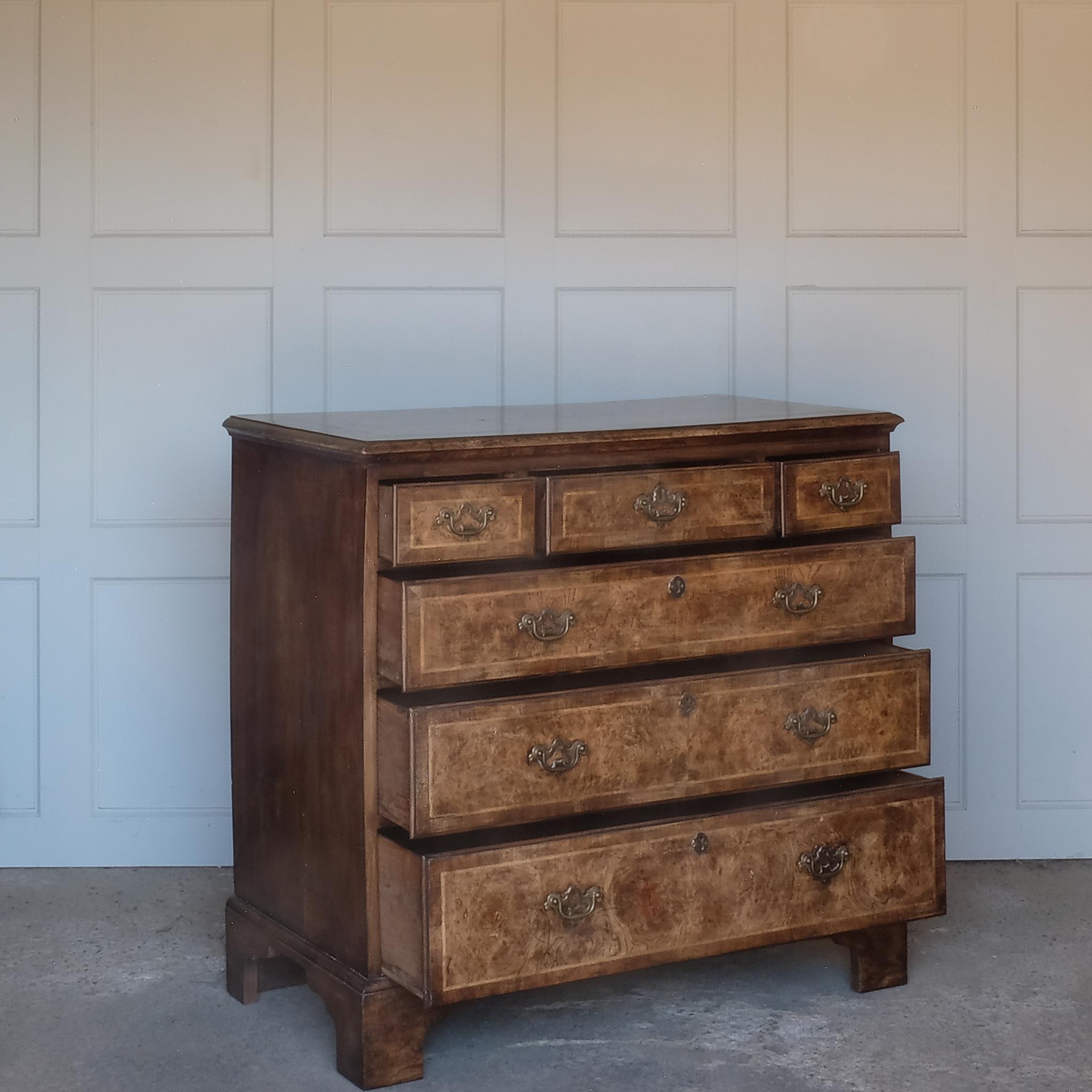 Cross-Banded Elm And Walnut Crossbanded Chest Of Drawers