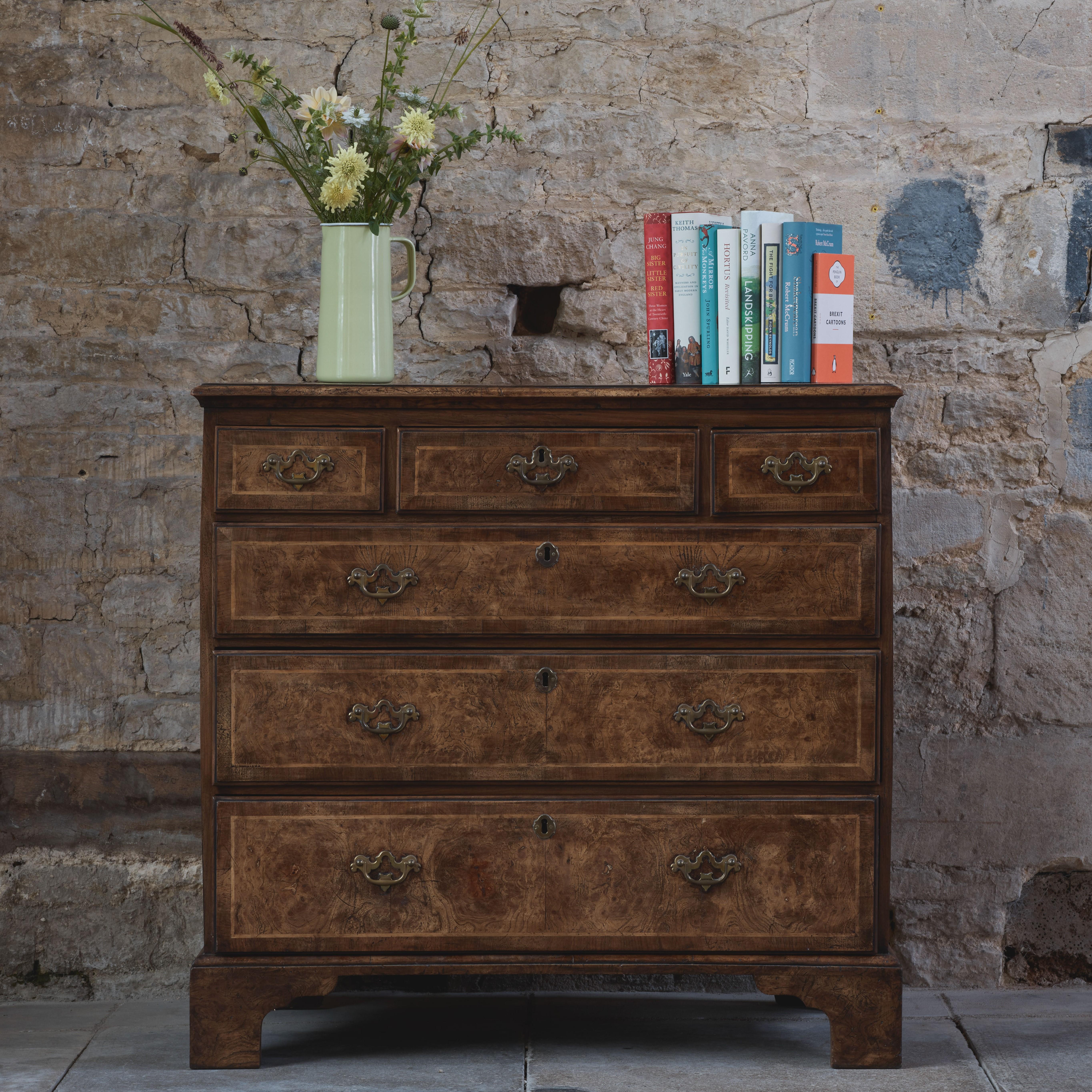 Elm And Walnut Crossbanded Chest Of Drawers 3