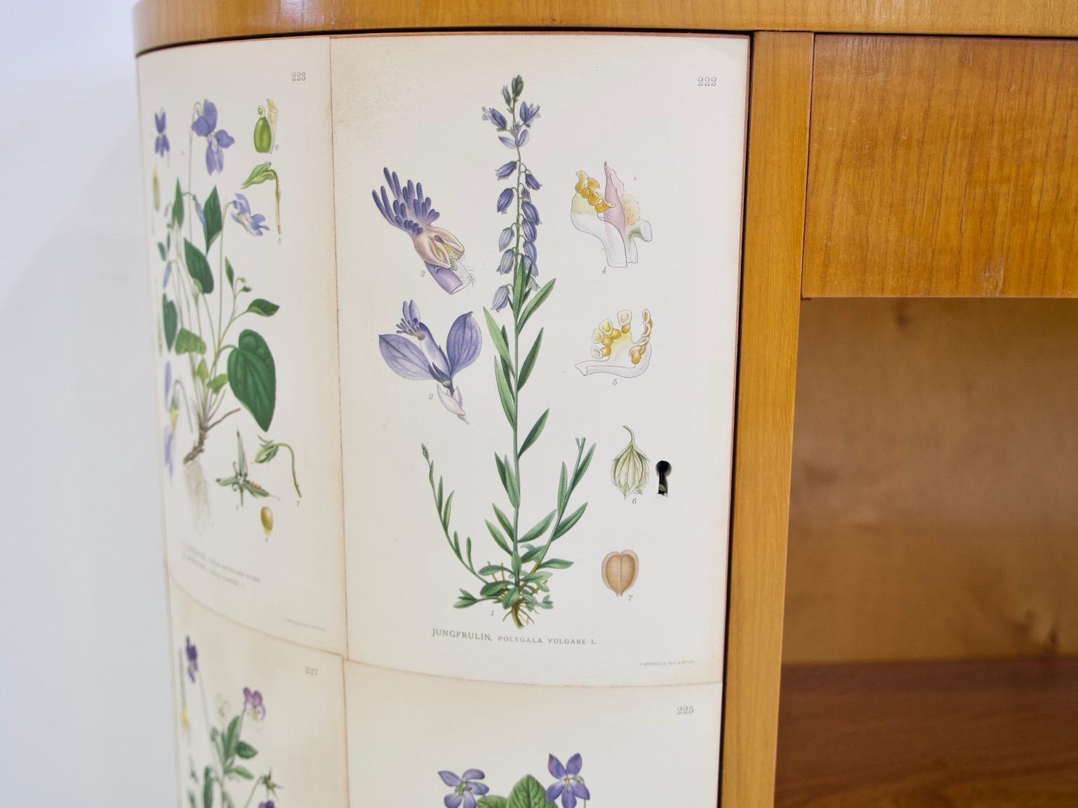 Veneer Elm Bookcase with Nordens Flora Illustrations