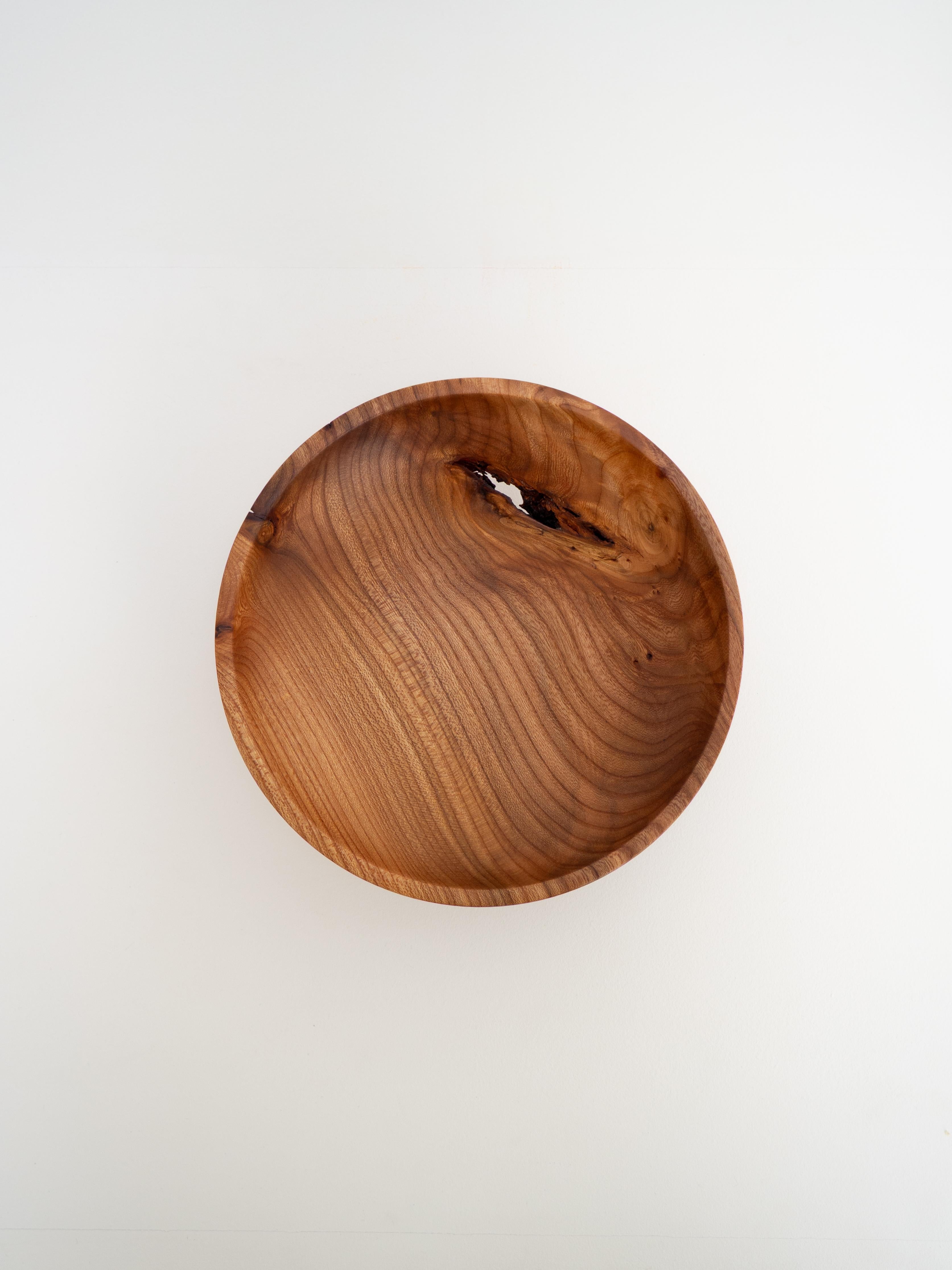 Contemporary Elm bowl - One of a kind For Sale