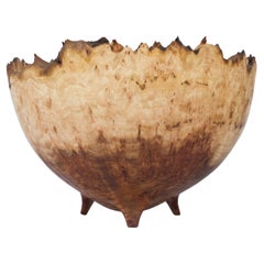 Elm Burl Bowl by Vlad Droz