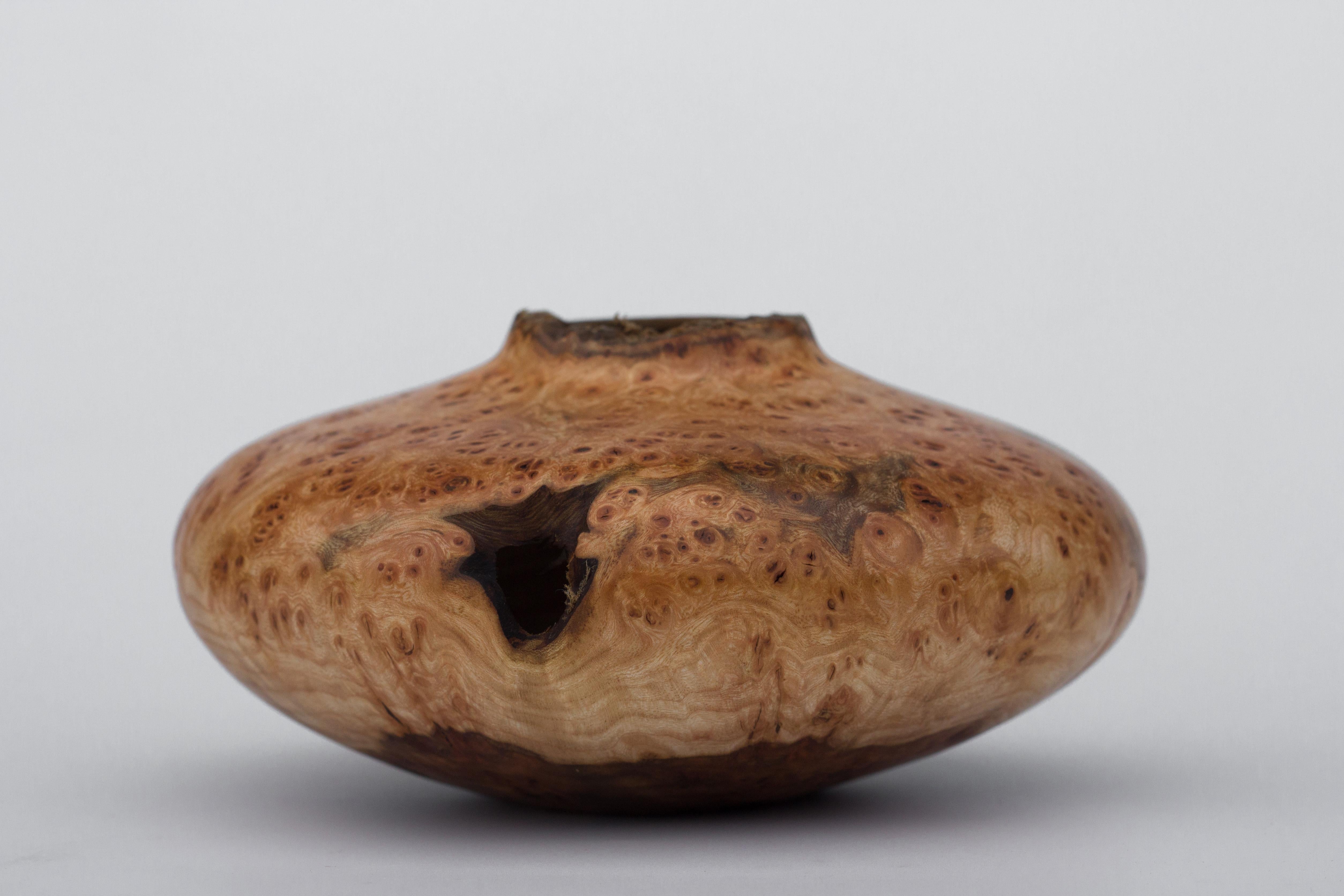 Elm Burl Hollow Form by Vlad Droz In New Condition In Geneve, CH