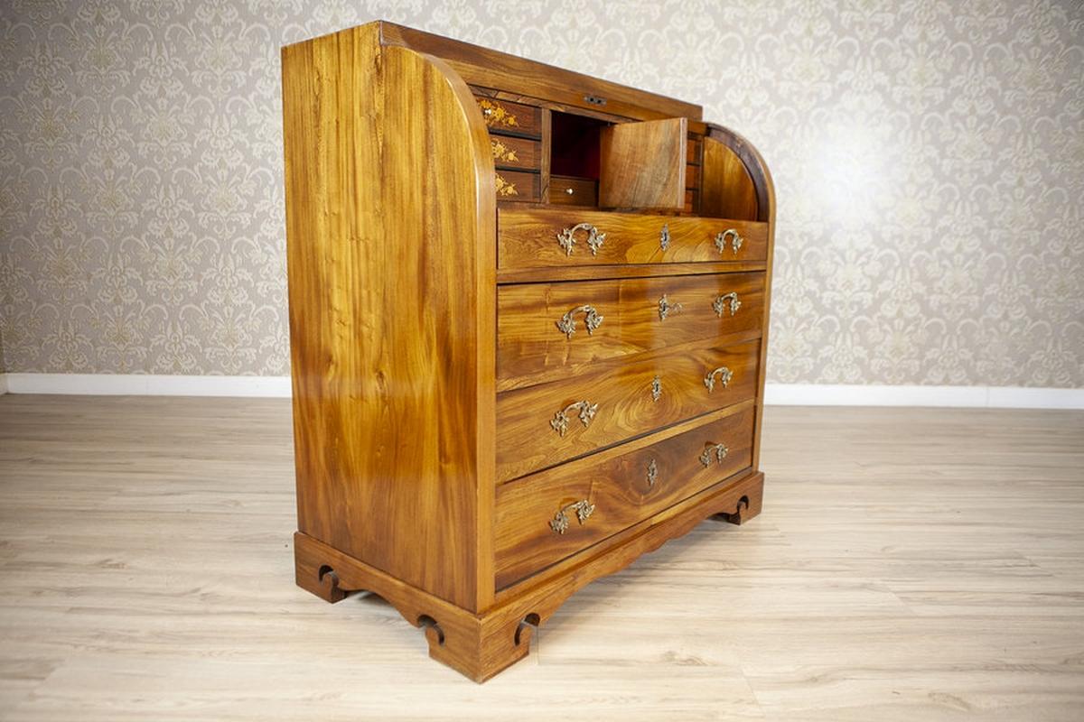 Secretario antiguo de madera de olmo de 1840 en Bueno estado para la venta en Opole, PL