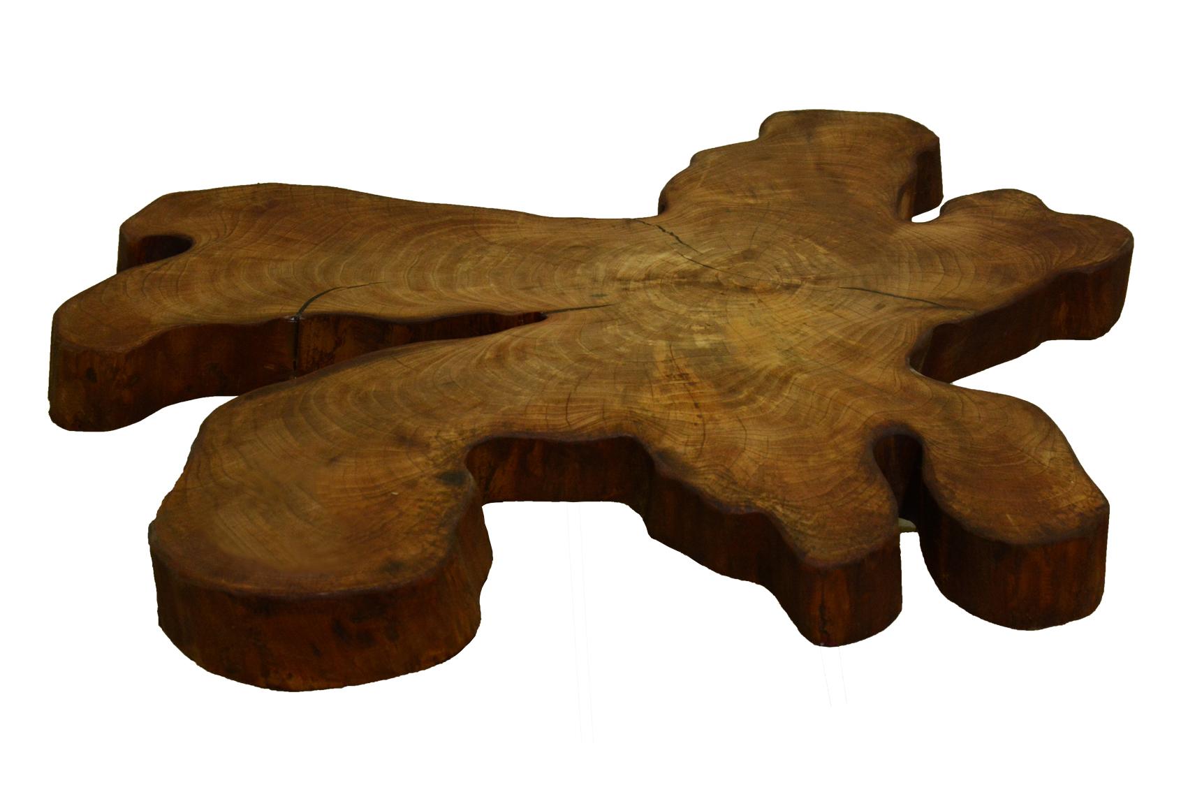 Mid-Century Modern Elm Tree Live Edge Coffee Table with Hairpin Legs / LECT102 For Sale