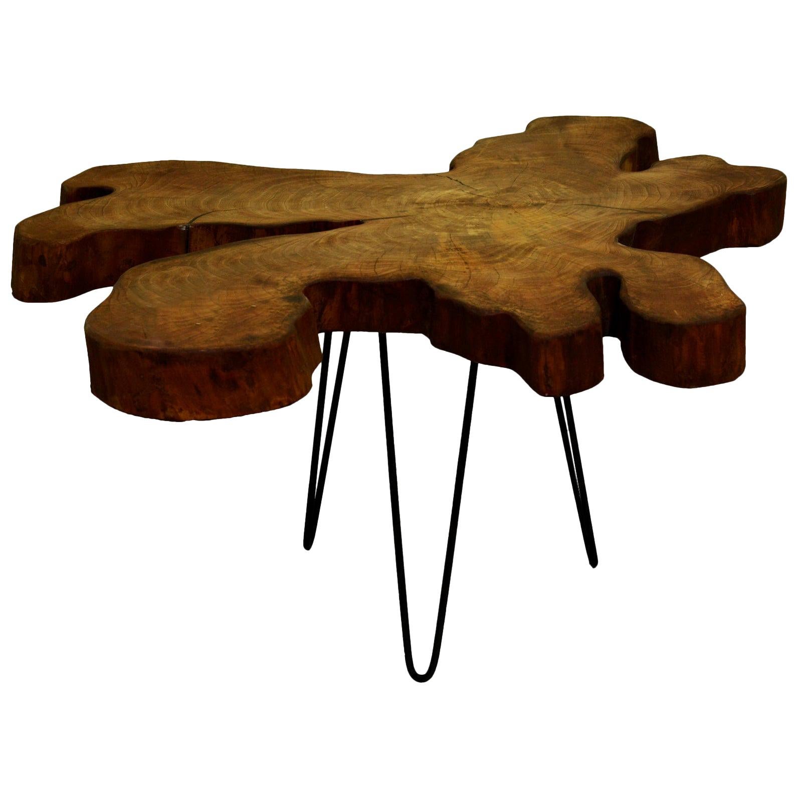 Elm Tree Live Edge Coffee Table with Hairpin Legs / LECT102 For Sale