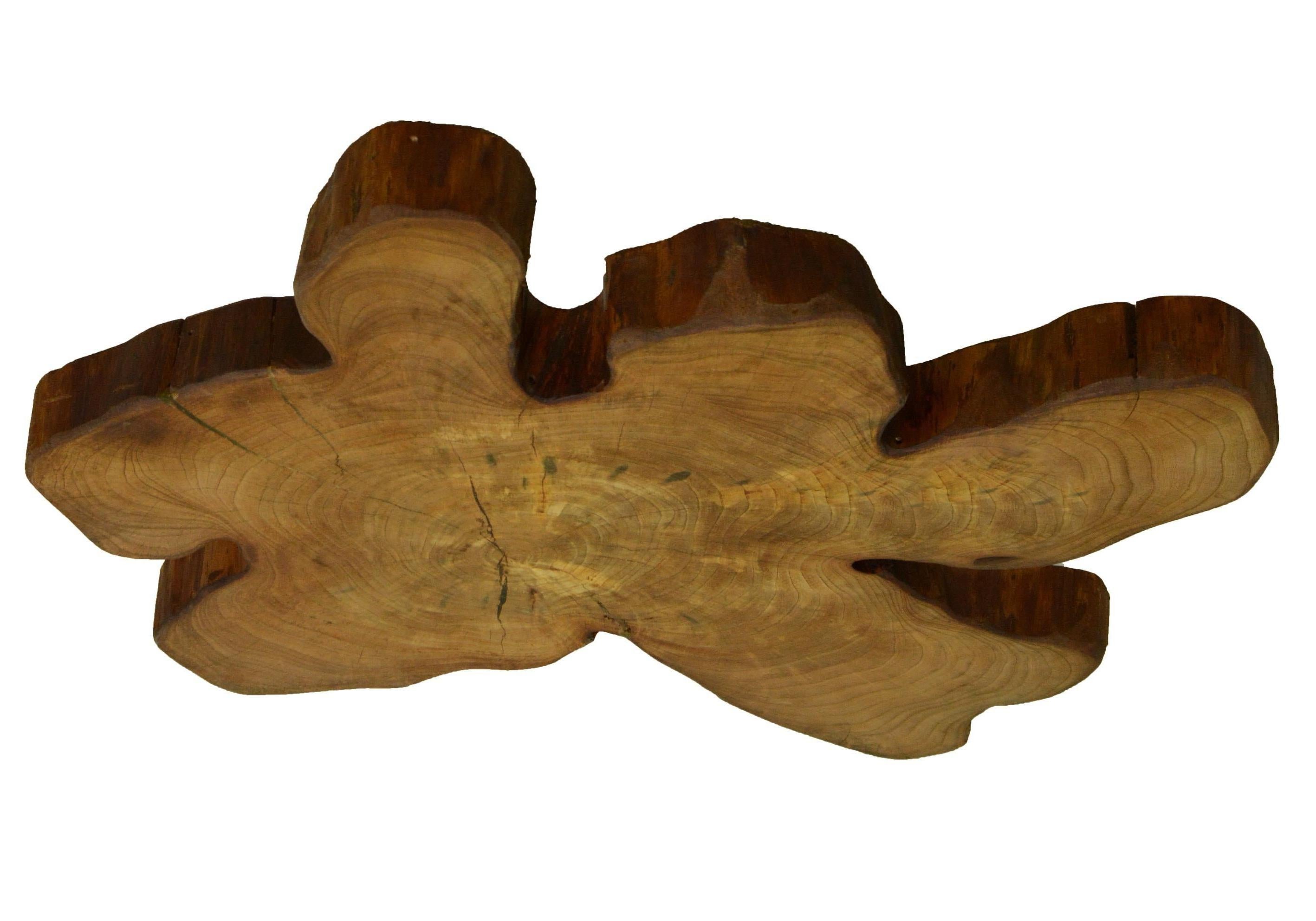 Mid-Century Modern Elm Tree Live Edge Coffee Table with Hairpin Legs / LECT136 For Sale