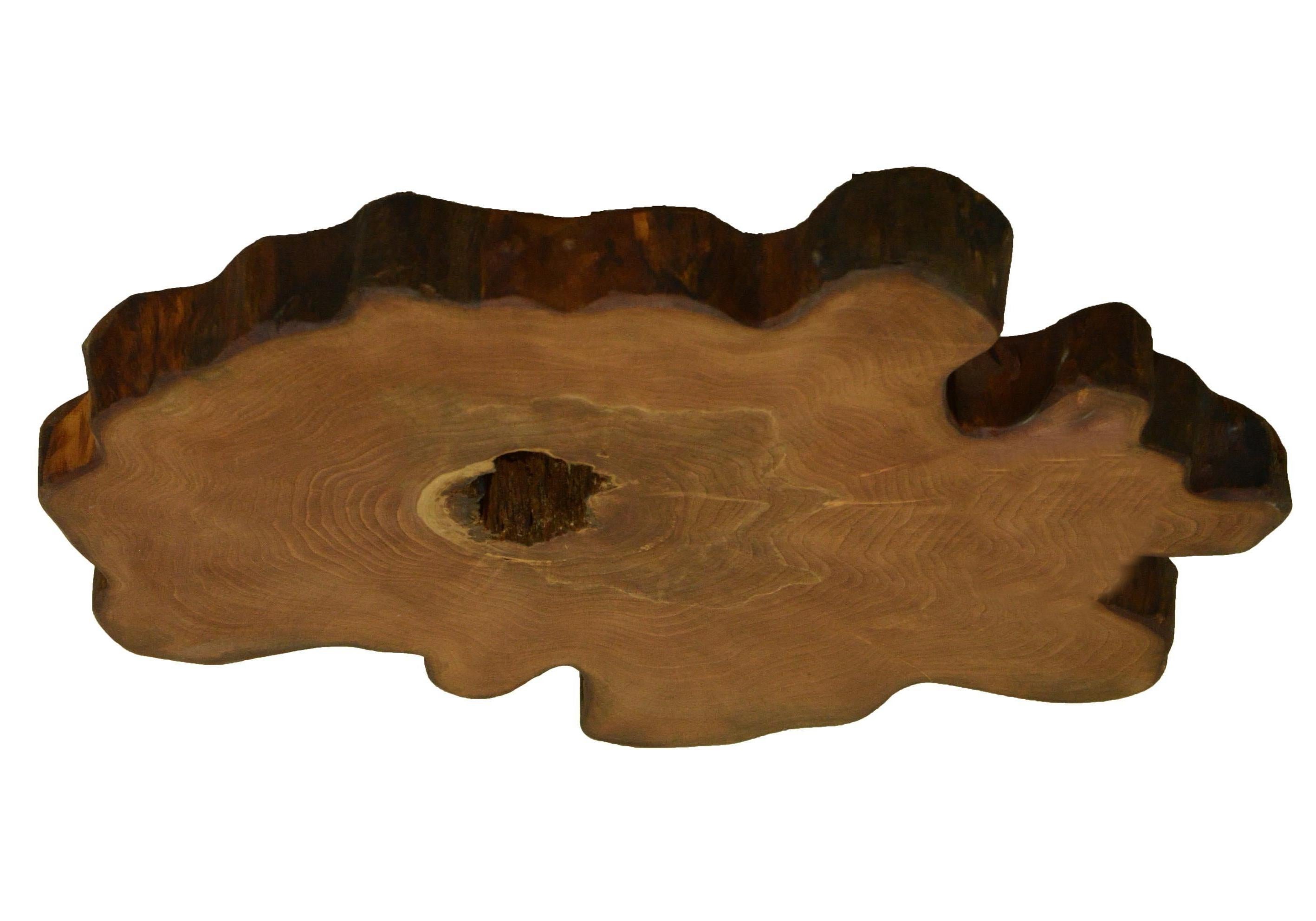 Mid-Century Modern Elm Tree Live Edge Coffee Table with Hairpin Legs / LECT147 For Sale