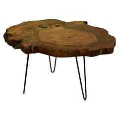 Elm Tree Live Edge Coffee Table with Hairpin Legs / LECT149