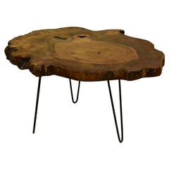 Elm Tree Live Edge Coffee Table with Hairpin Legs / LECT149