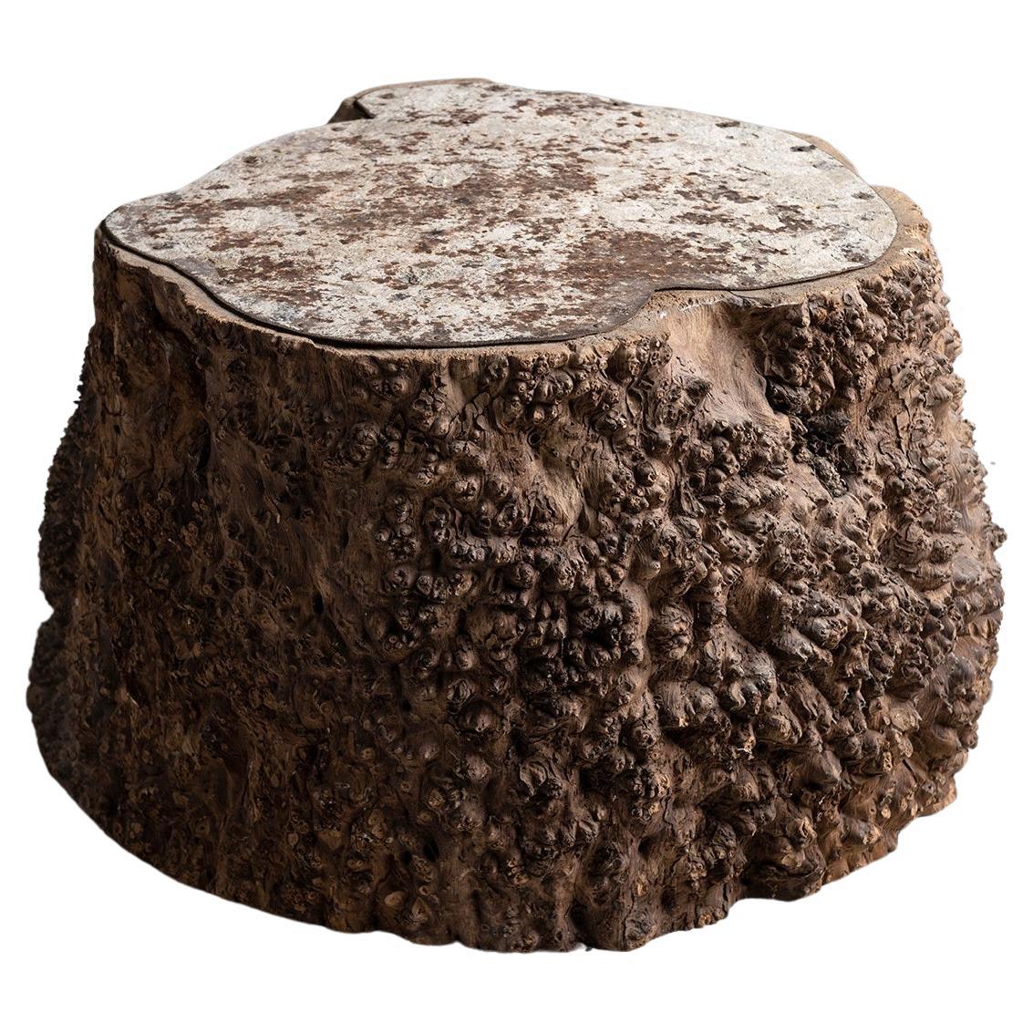 Elm Tree Trunk Side Table, France circa 1940