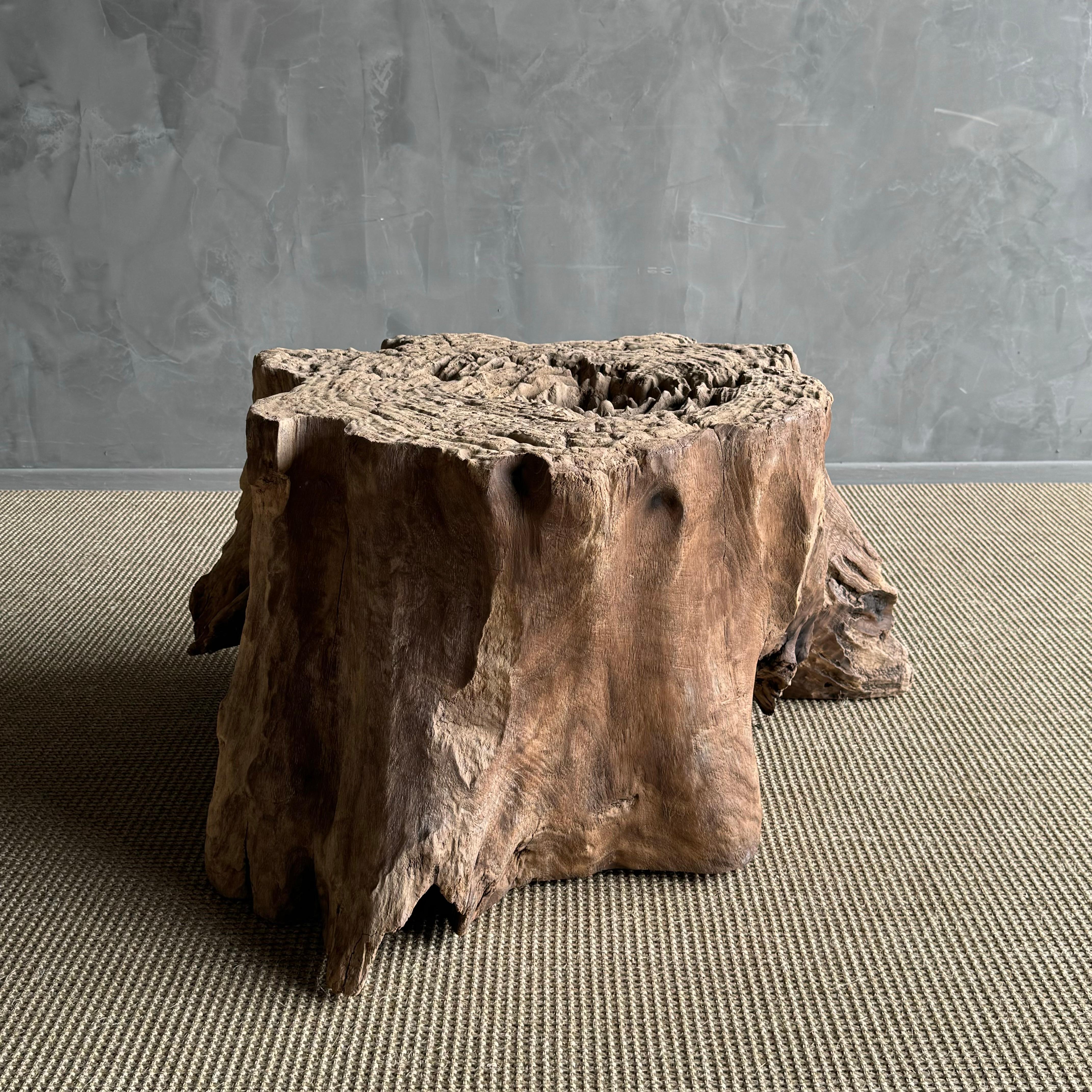 Elm Wood Tree Stump Table For Sale 5