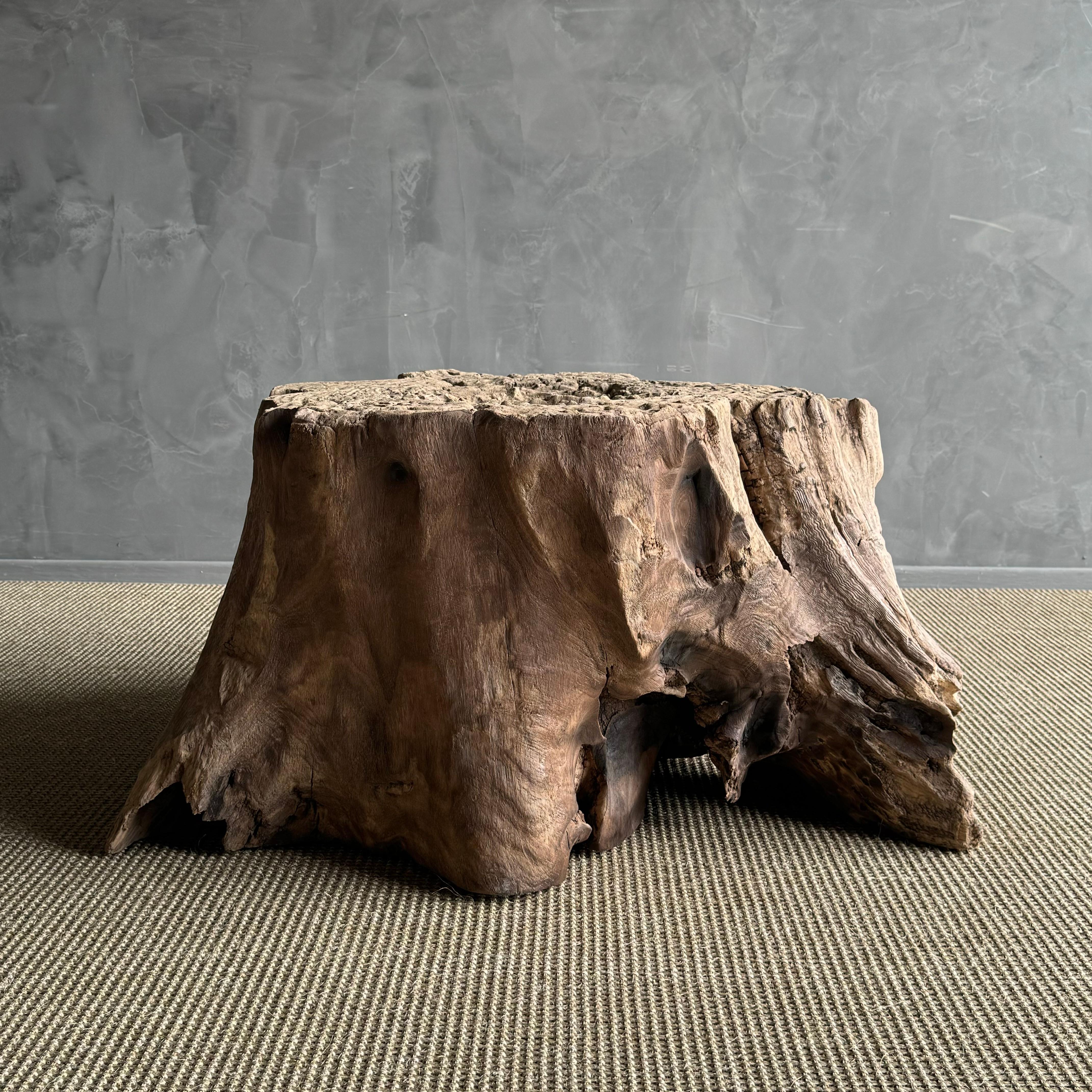Elm Wood Tree Stump Table For Sale 6
