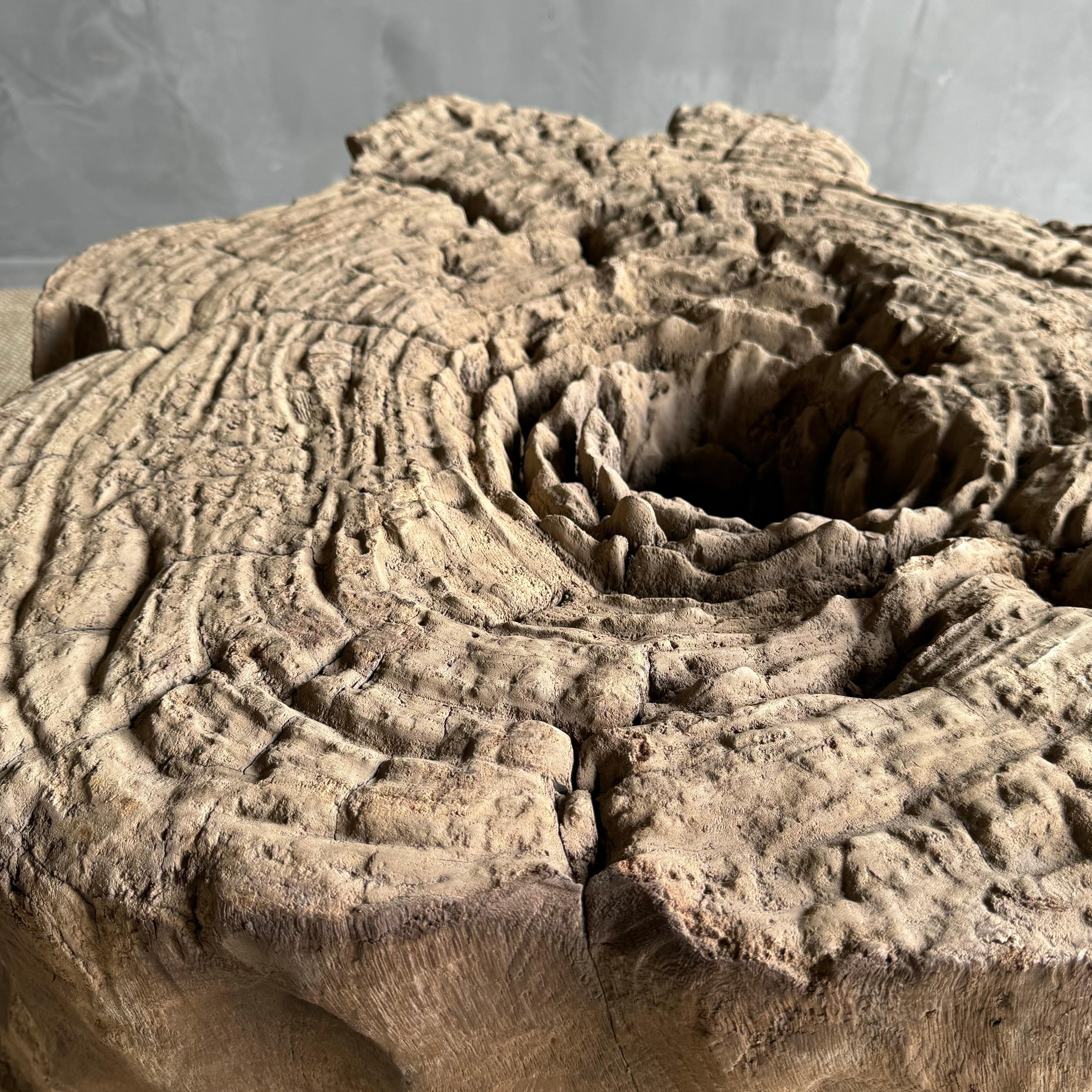 Elm Wood Tree Stump Table For Sale 9