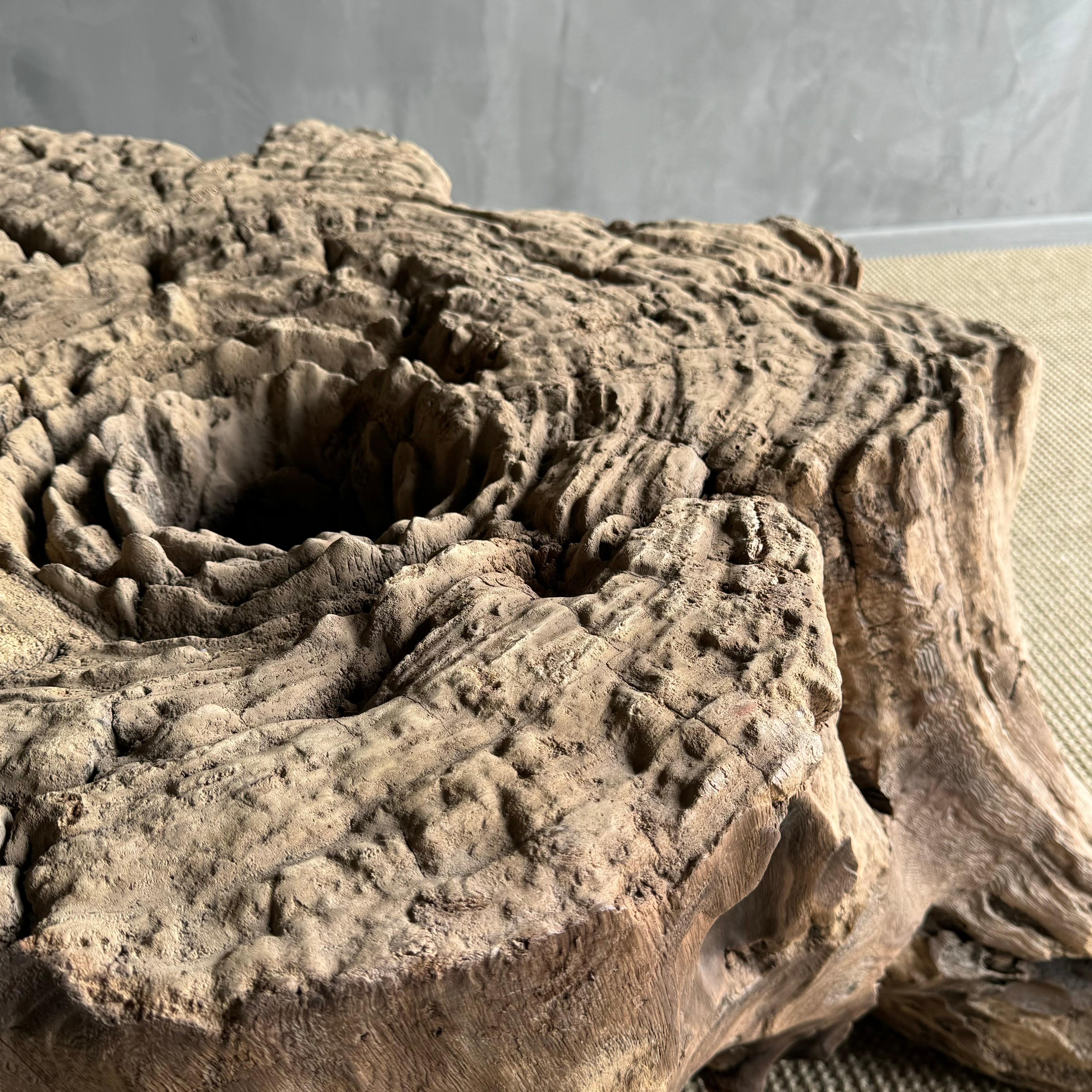 Elm Wood Tree Stump Table For Sale 10