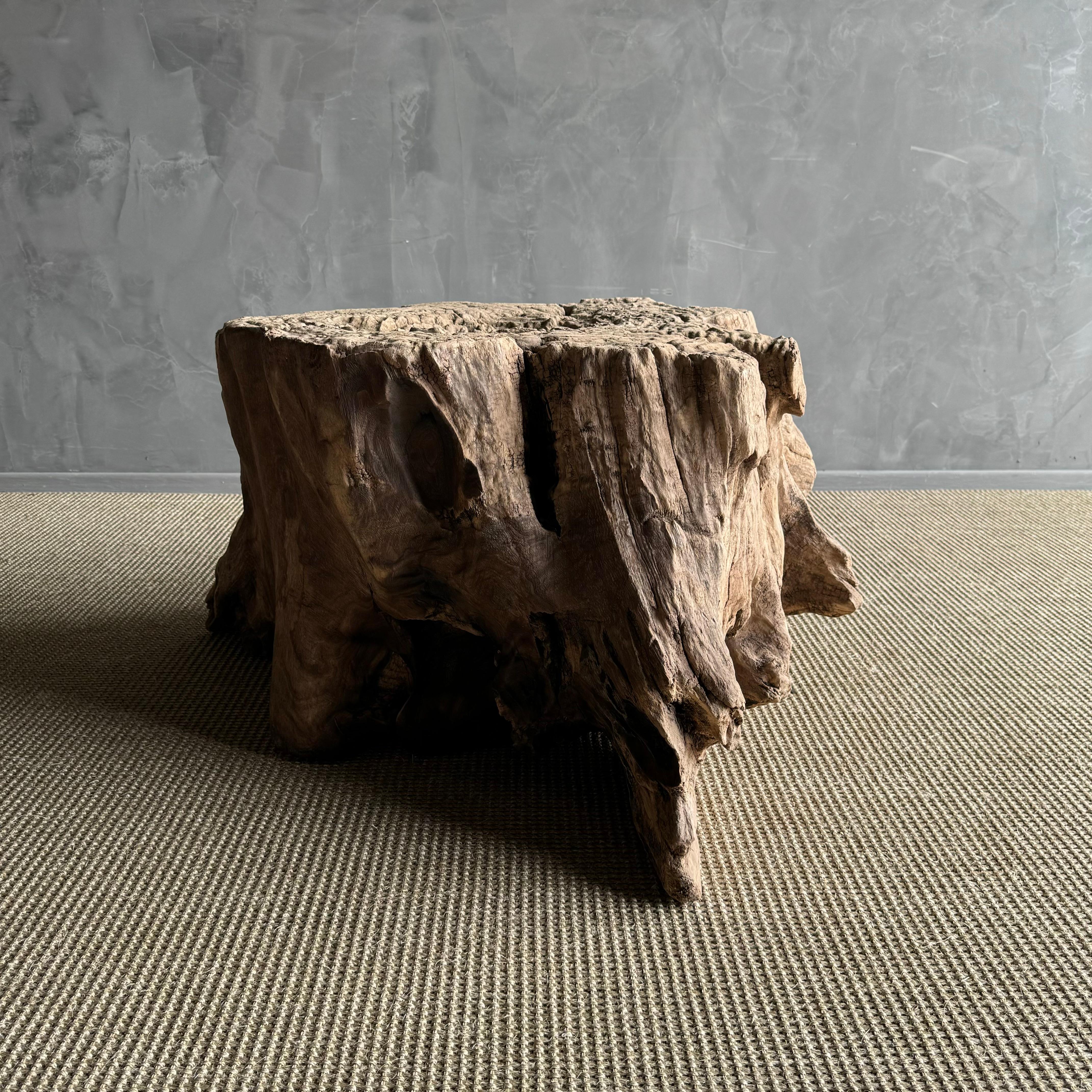 Elm Wood Tree Stump Table For Sale 11