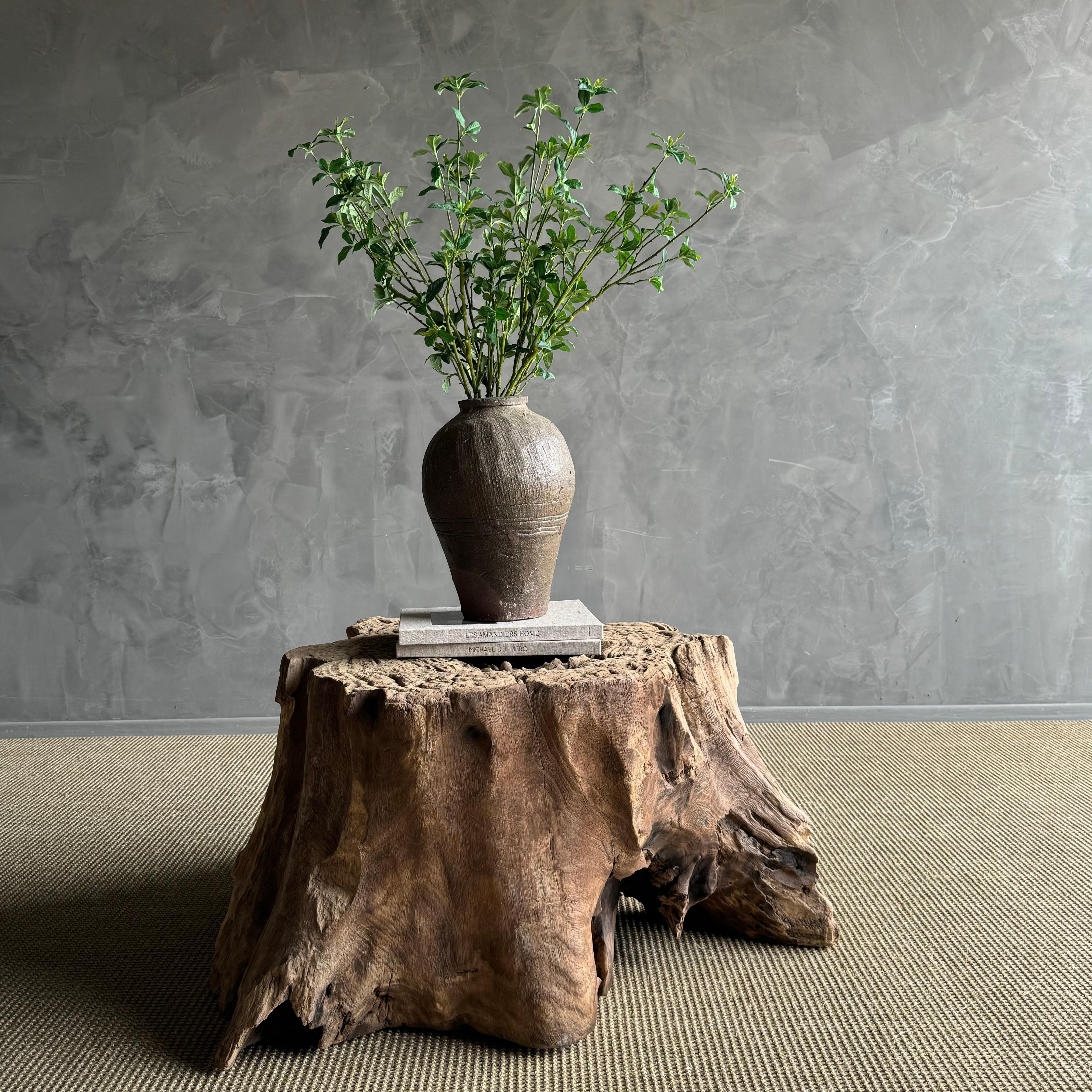 stump table - a one-of-a-kind masterpiece that will add a touch of nature to your space. Crafted from a single elm wood tree stump, each table is uniquely designed to showcase the natural beauty and character of the wood. With its organic shape and