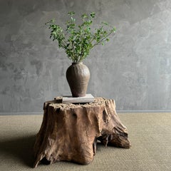 Elm Wood Tree Stump Table