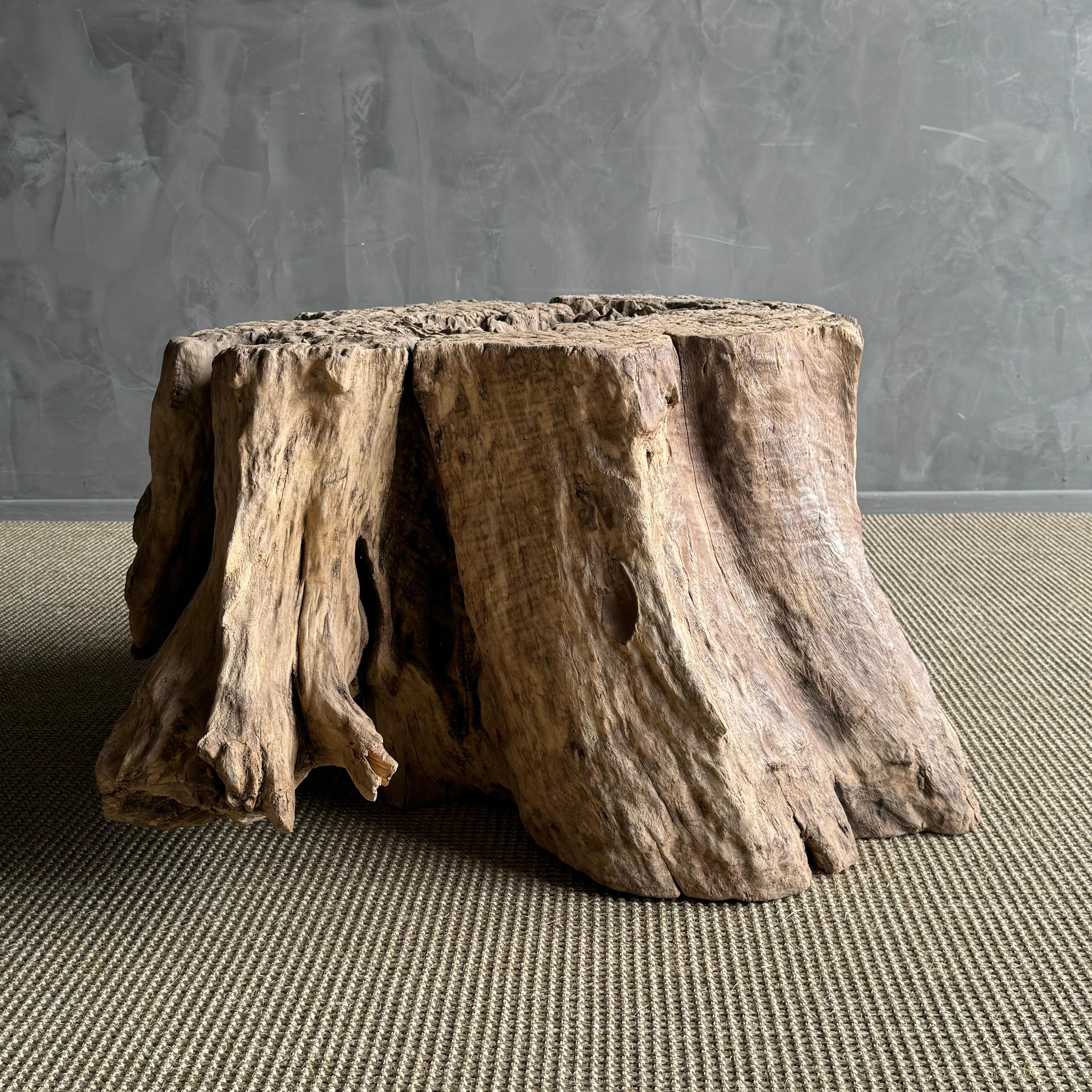 Organic Modern Elm Wood Tree Stump Table For Sale