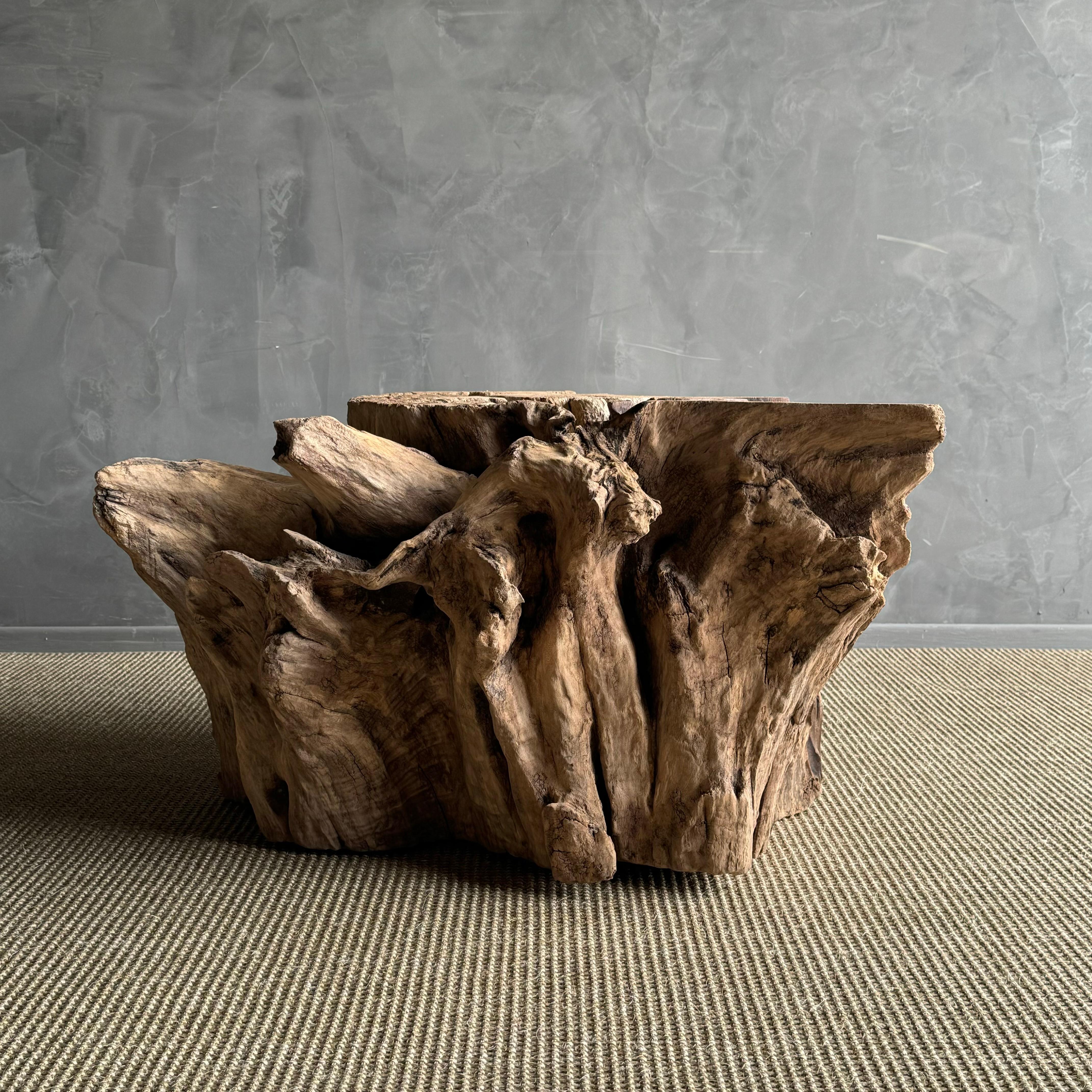 Elm Wood Tree Stump Table In Good Condition For Sale In Old Town Orange, CA