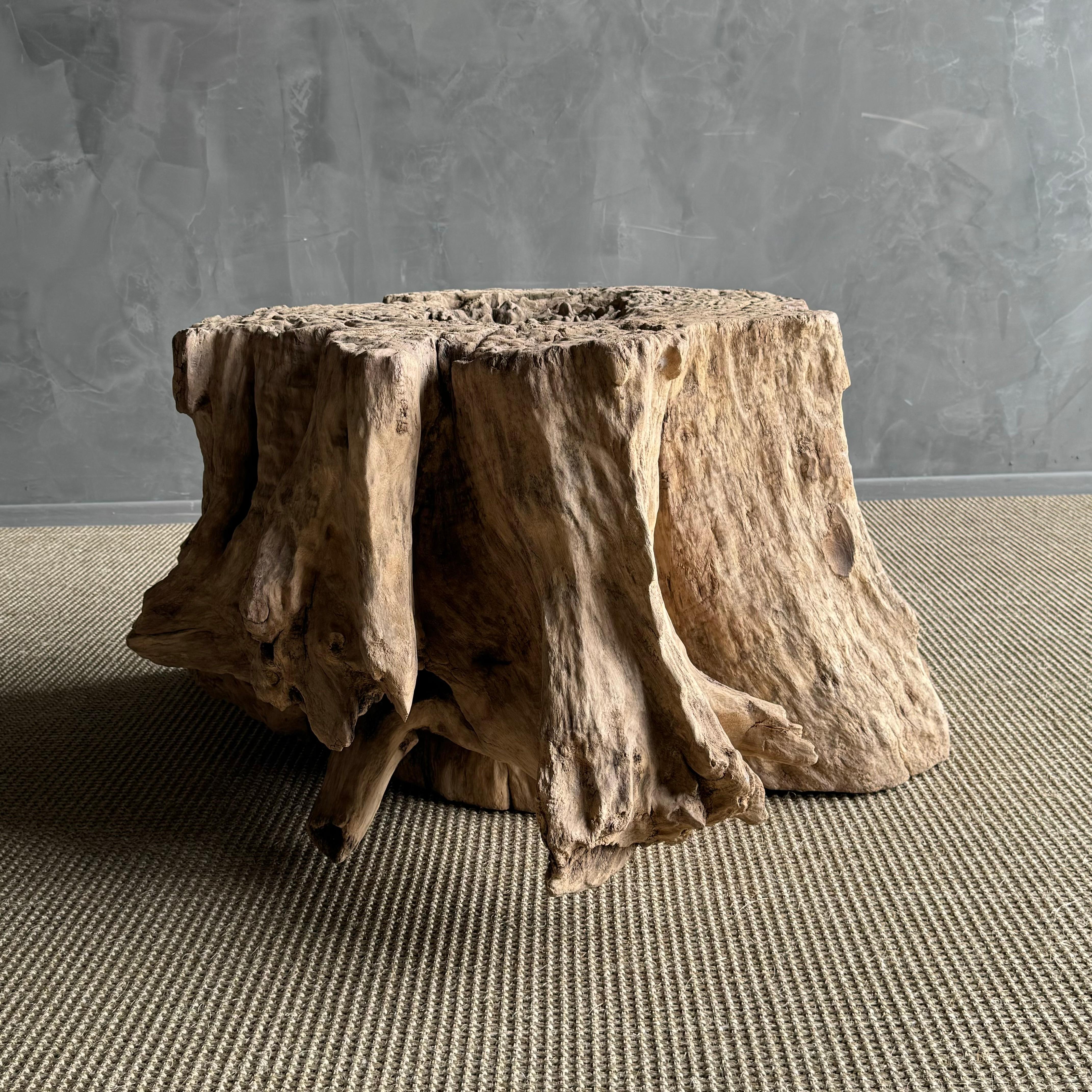 20th Century Elm Wood Tree Stump Table For Sale