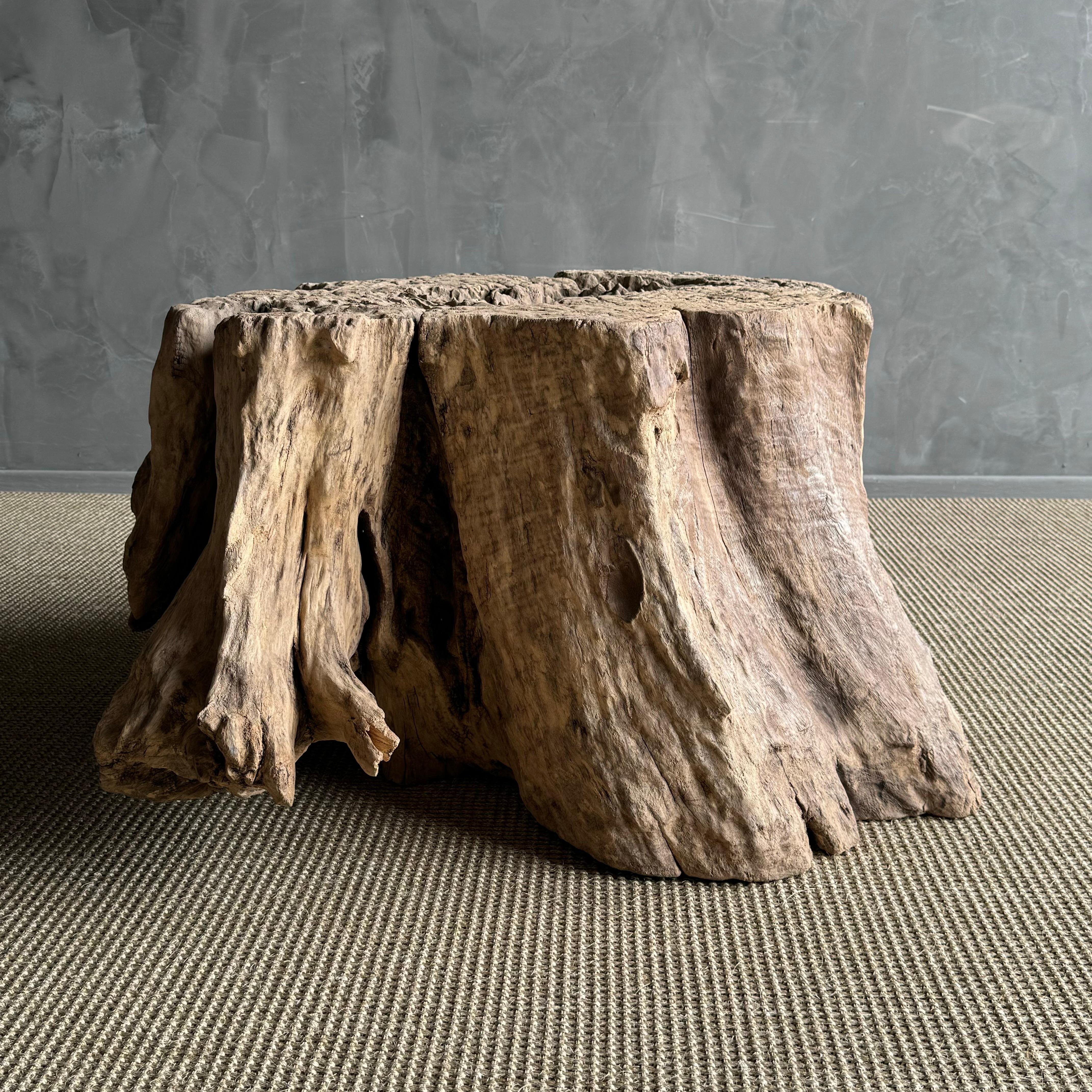 Elm Wood Tree Stump Table For Sale 2