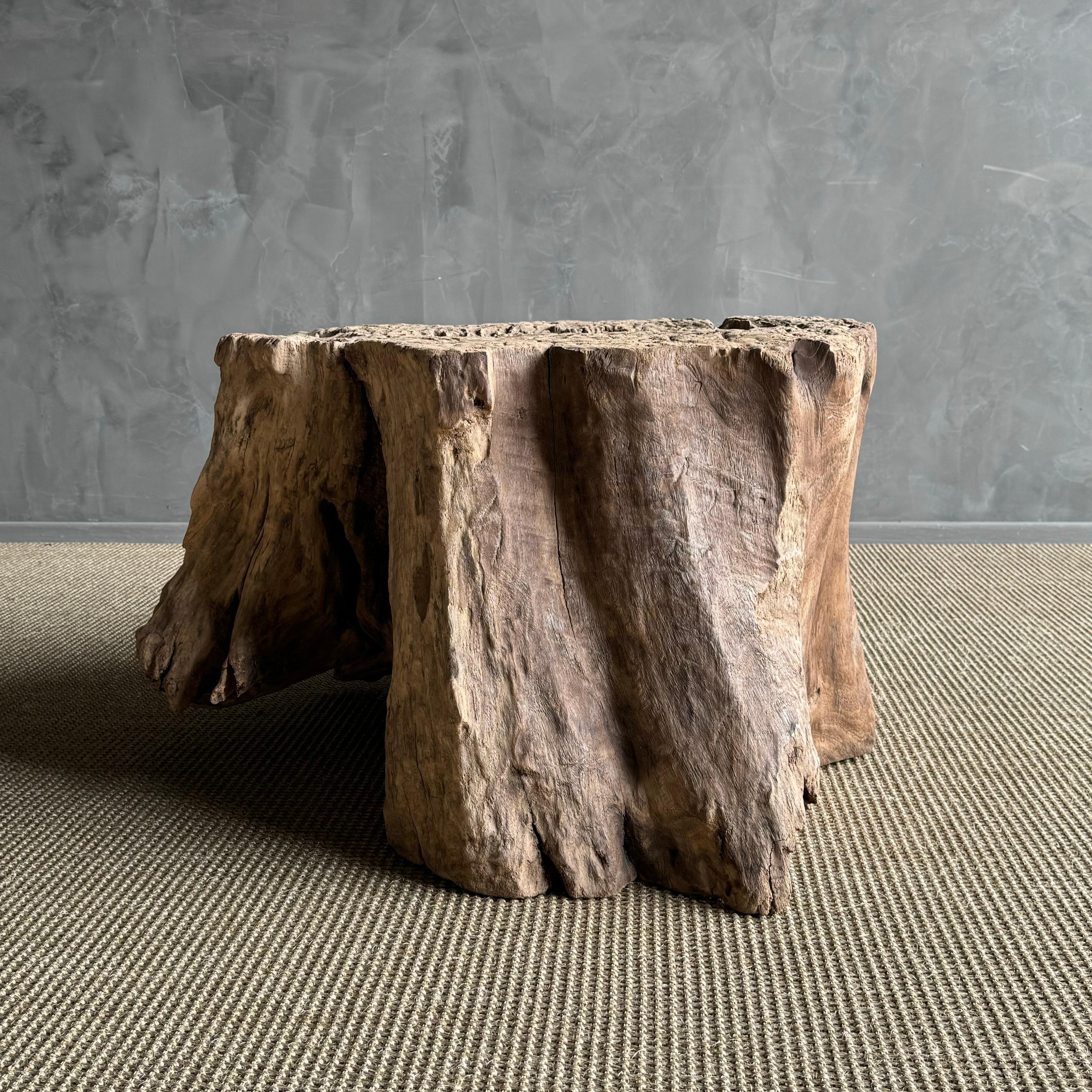 Elm Wood Tree Stump Table For Sale 3