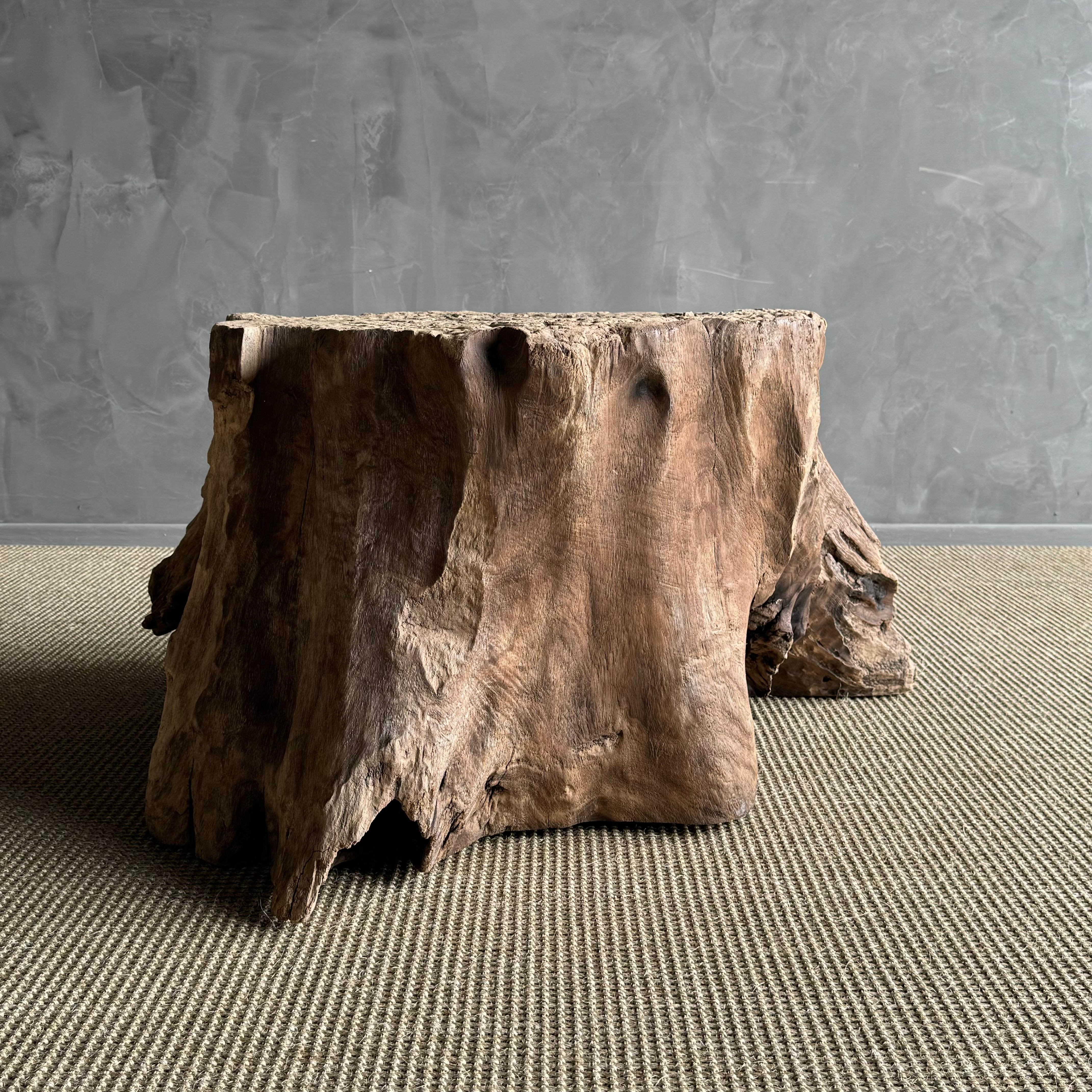 Elm Wood Tree Stump Table For Sale 4