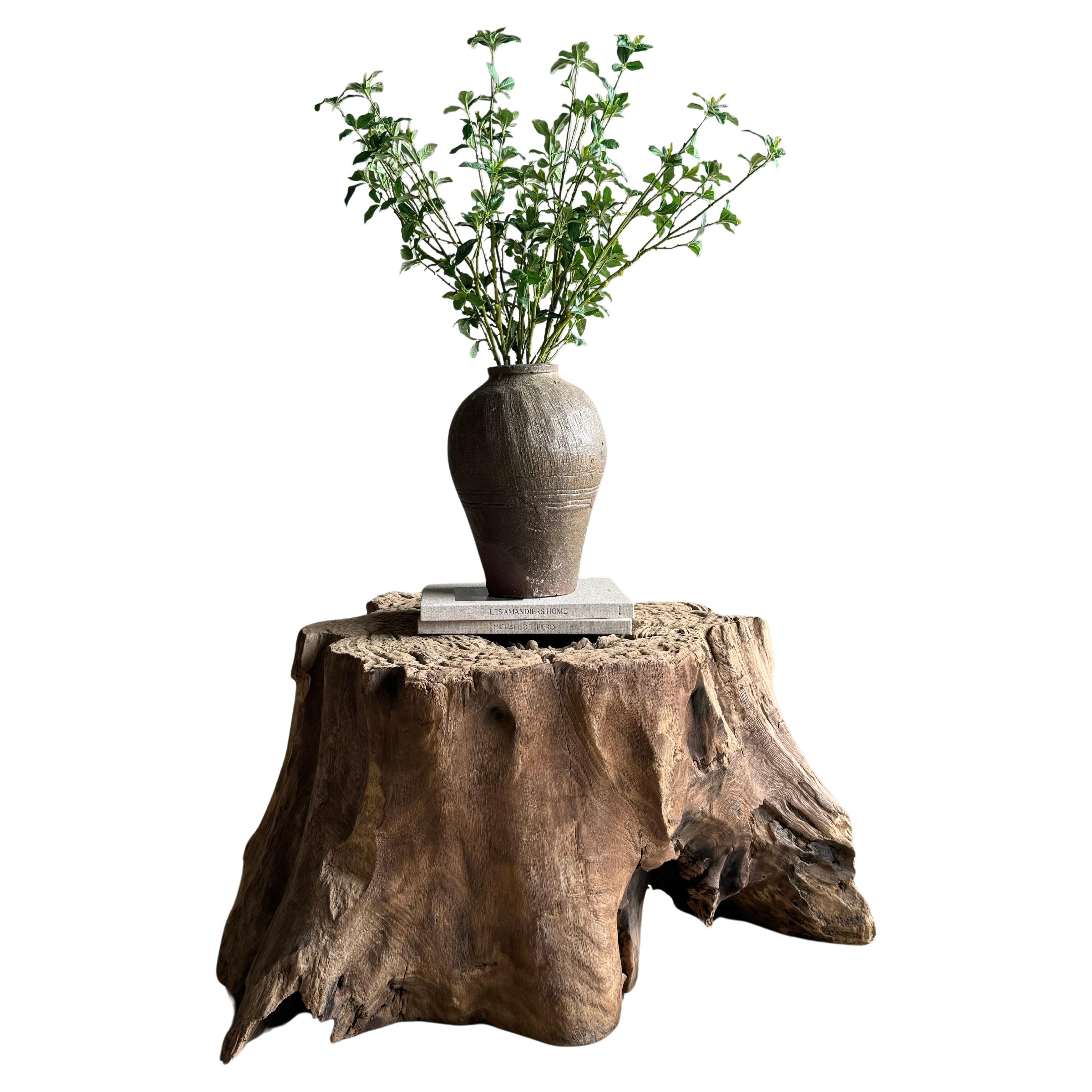 Elm Wood Baumstumpf Tisch