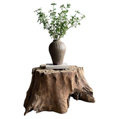 Elm Wood Tree Stump Table