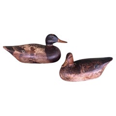 Elmer Crowell Paire de canards colverts surdimensionnés, vers 1920, avec marques ovales
