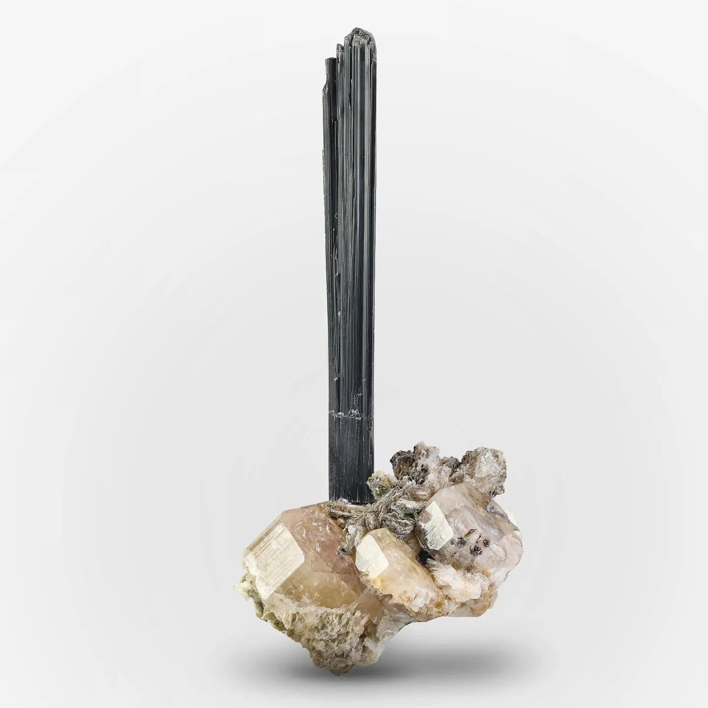 Langer freistehender Schorl aus schwarzem Turmalinkristall auf Apatit aus Pakistan im Zustand „Neu“ im Angebot in Bangkok, TH