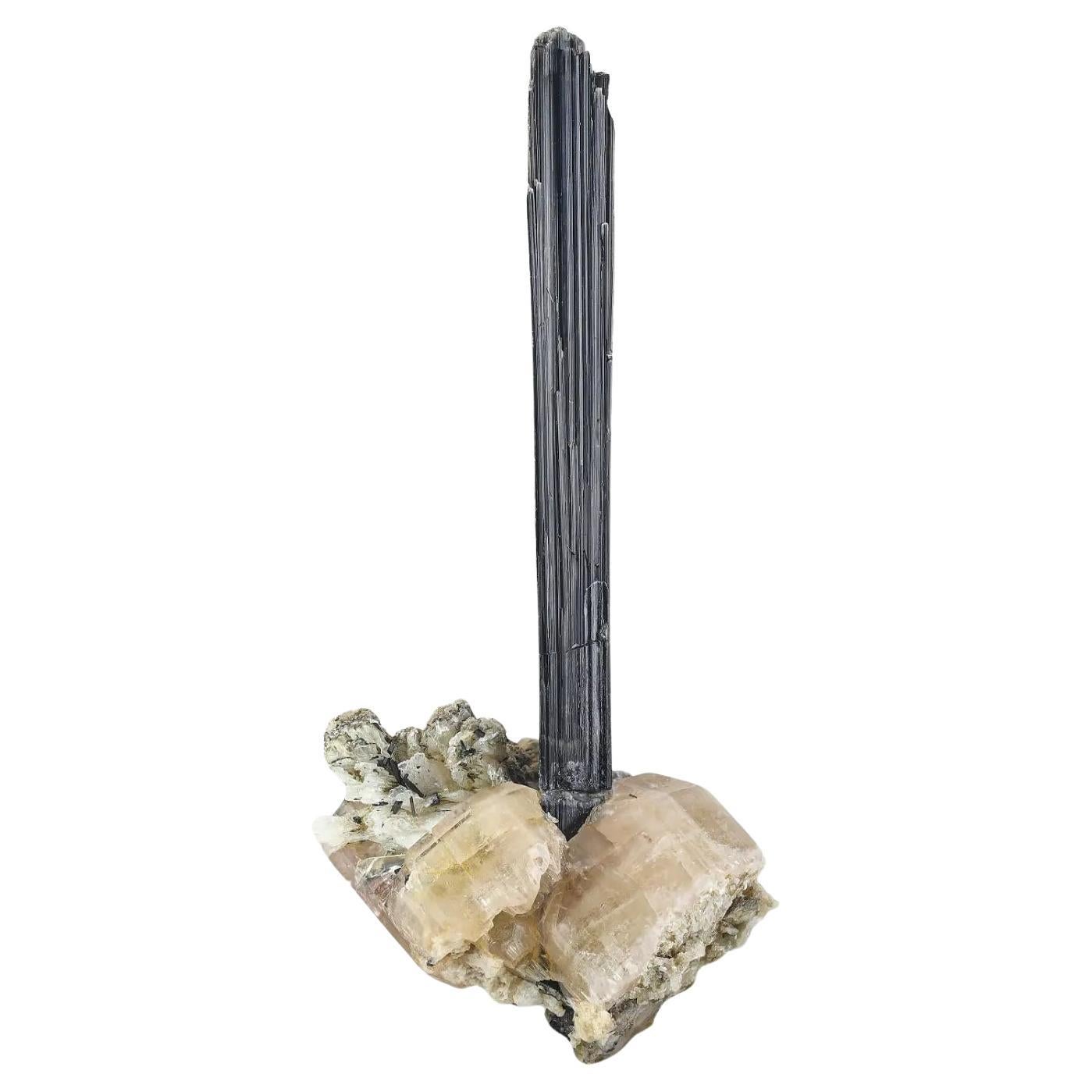 Elongated Free Standing Schorl Black Tourmaline Crystal on Apatite from Pakistan