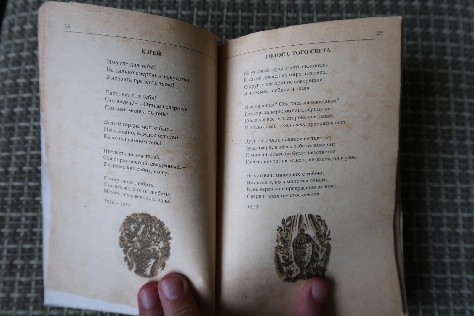 Fine XX secolo Echi eloquenti: Vintage Book - La lirica russa del XIX secolo, 1J173 in vendita